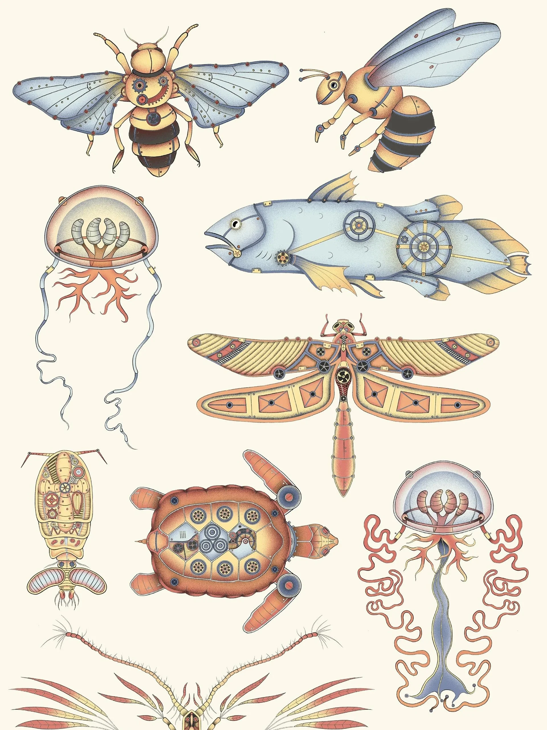 Evolution of the Prehistoric