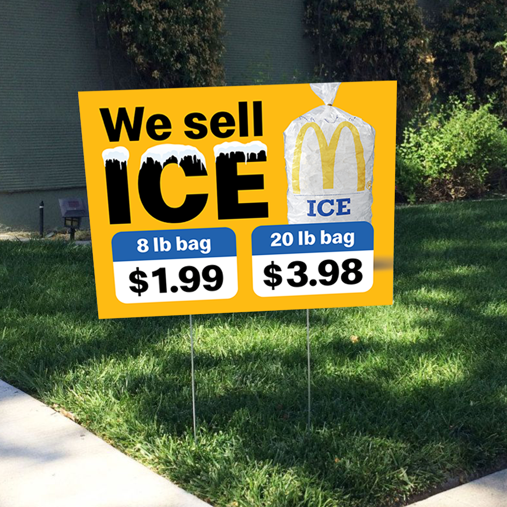 ICE BAG MOCK UP.png
