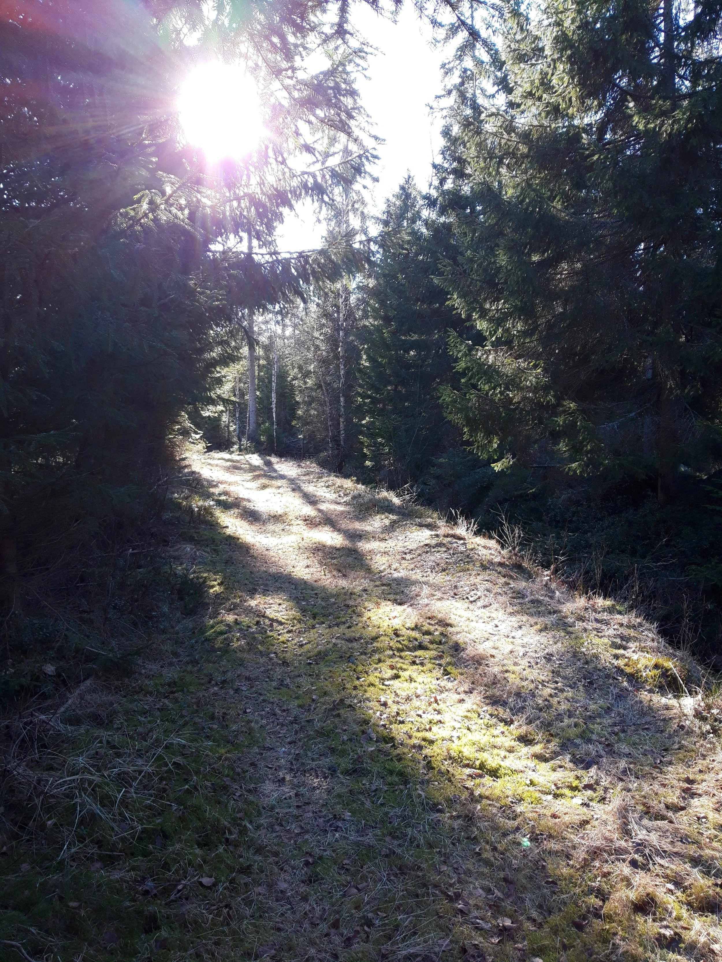 20230219_120100.jpg