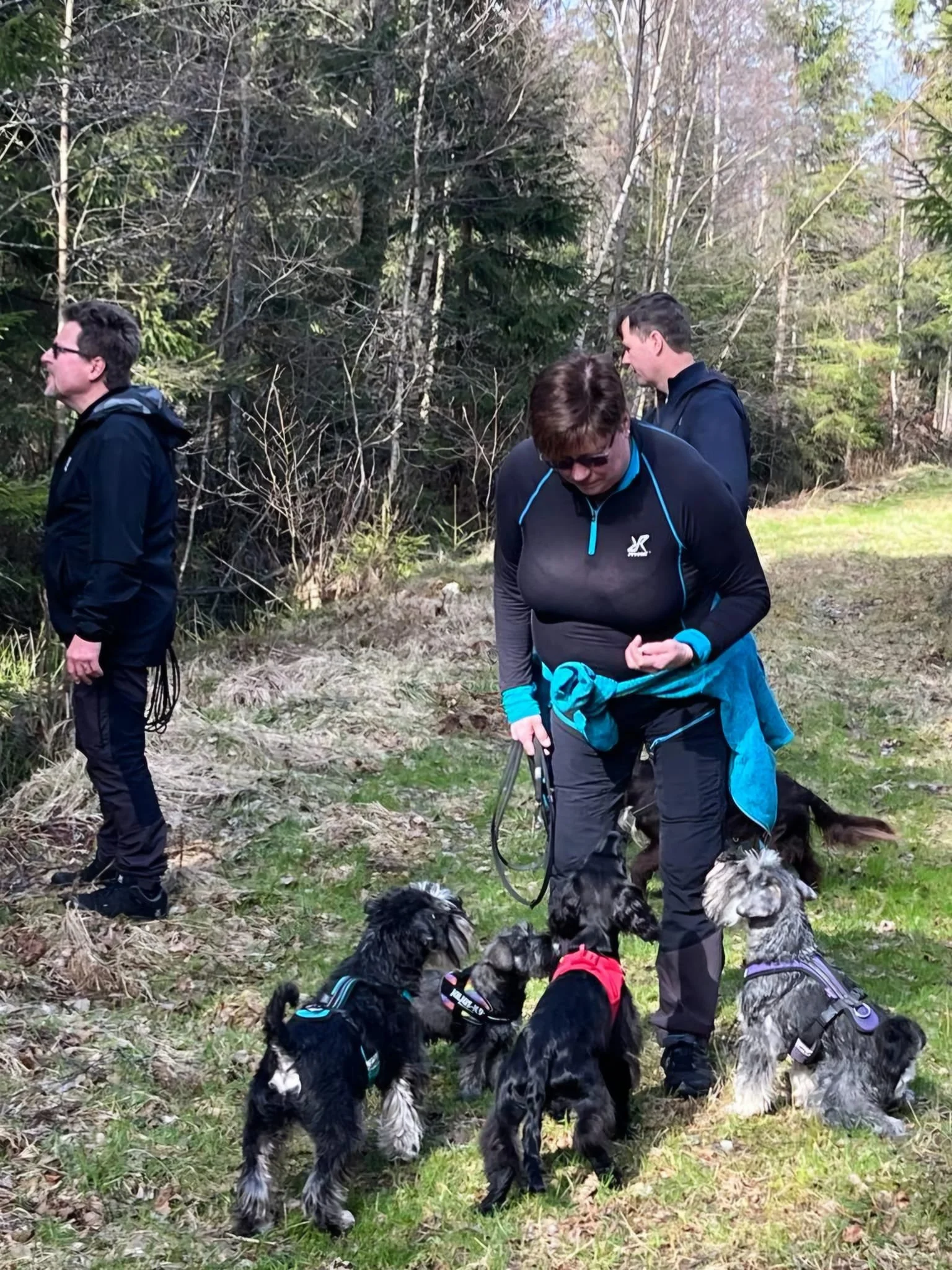 hundpromenad.jpg