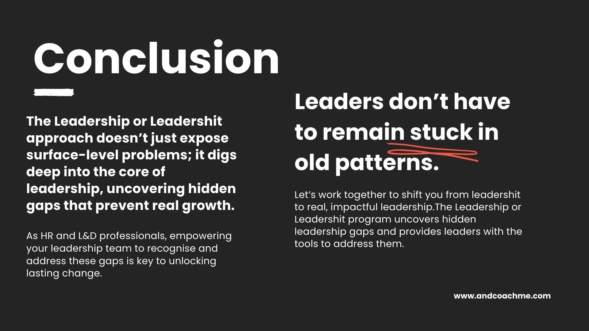 what this means Leadership or leadershit whitepaper 2024-2025