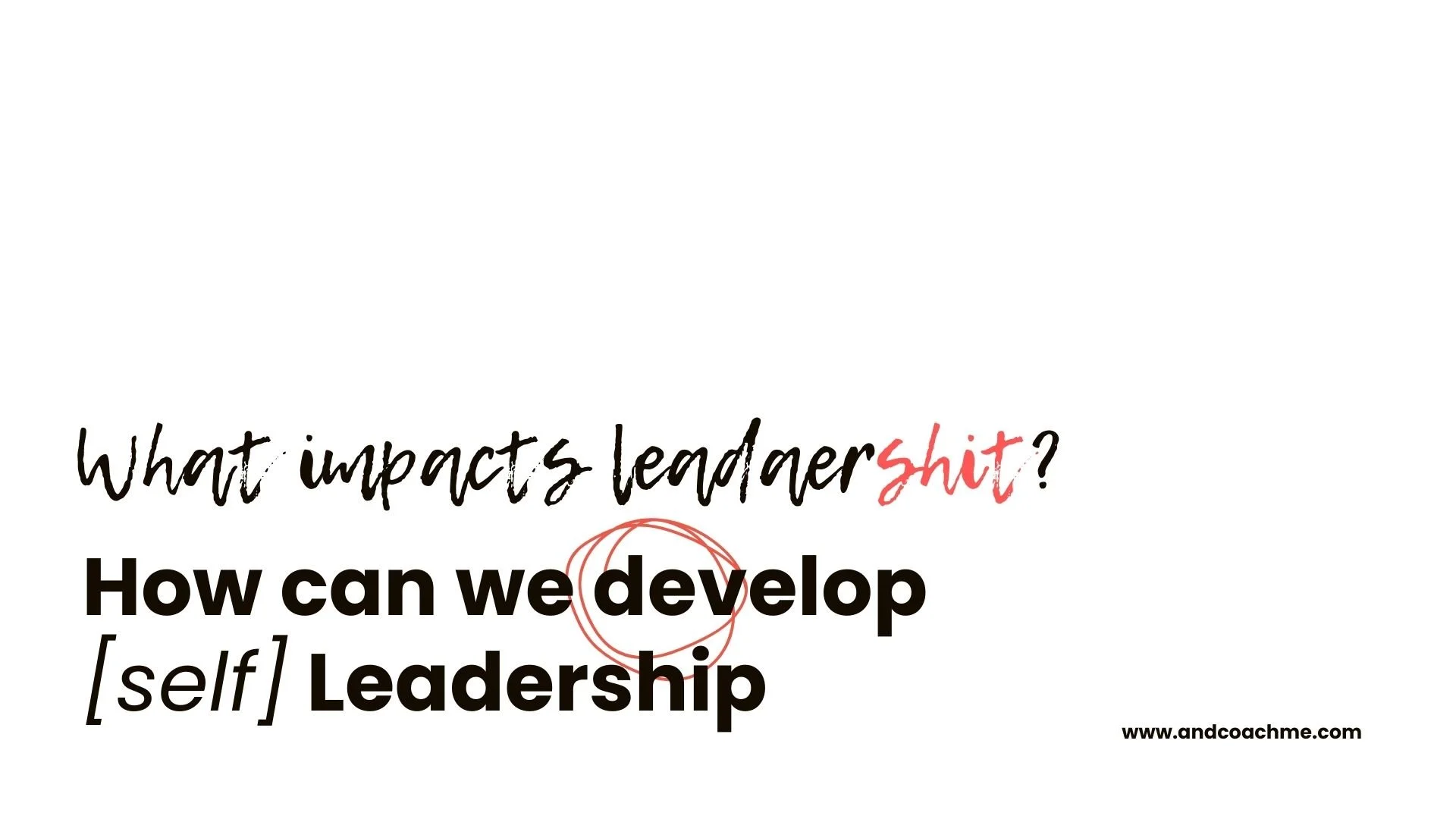 How to ...Leadership or leadershit whitepaper 2024-2025