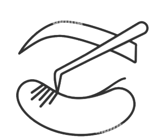 eyelash lash extensions training work experience
