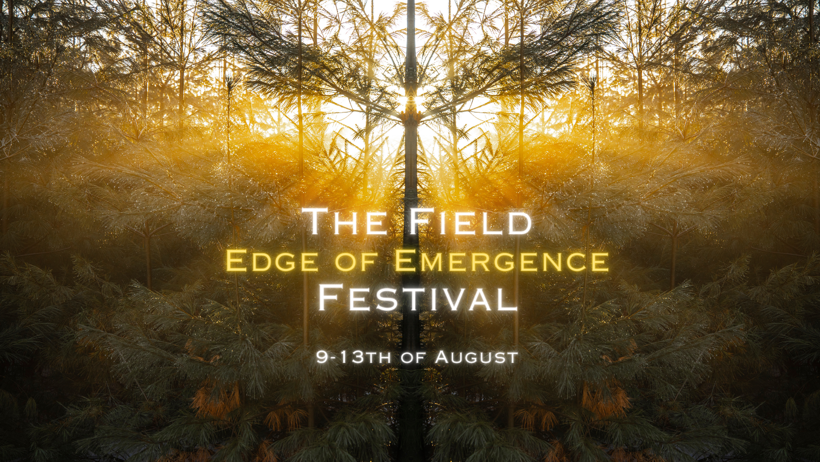 Program — The Field Festival