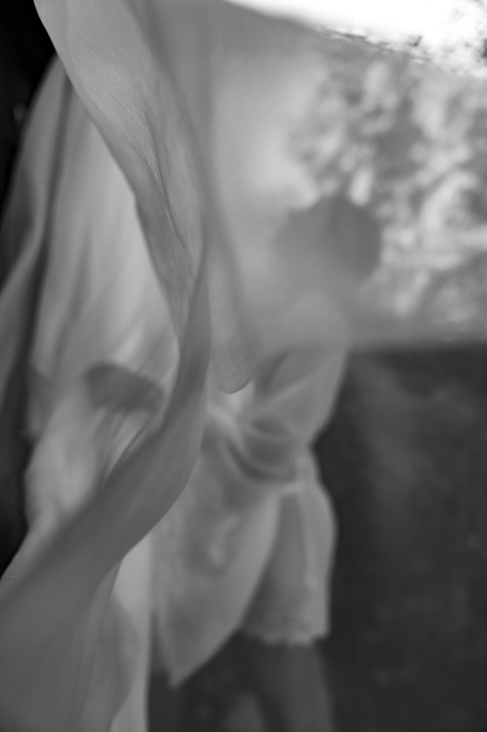 Close-up of a sculpture of a woman's face, with soft lighting and a blurred background.