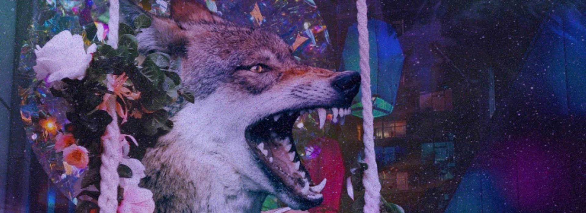 Comp 1 (0-00-05-30).jpg