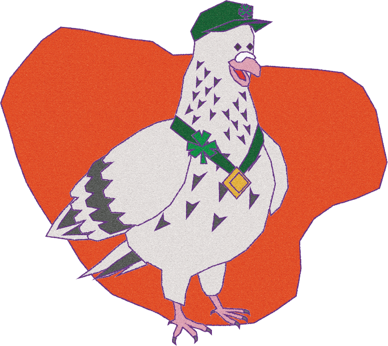 Paddy