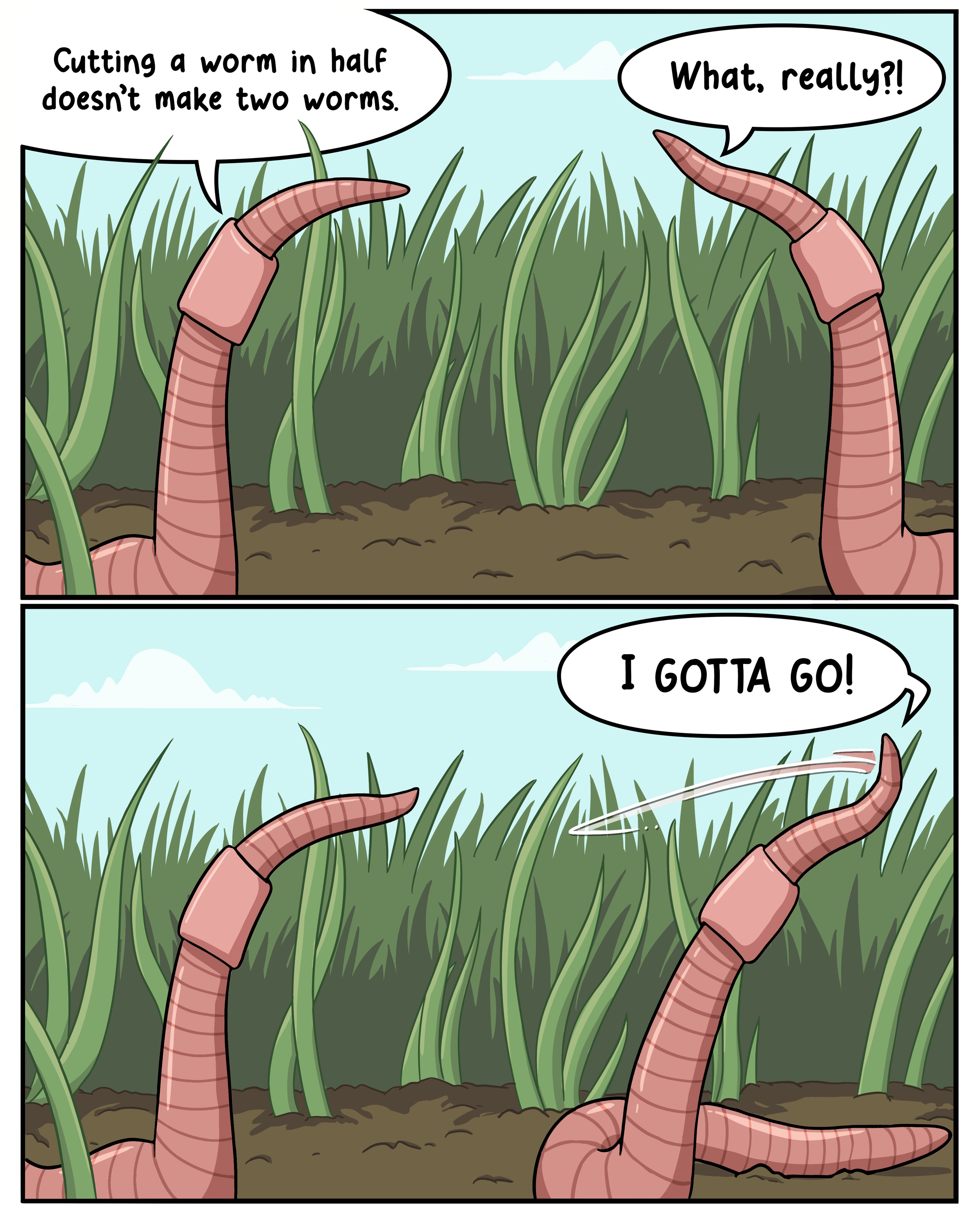 Worms_prequal_color-v3.png