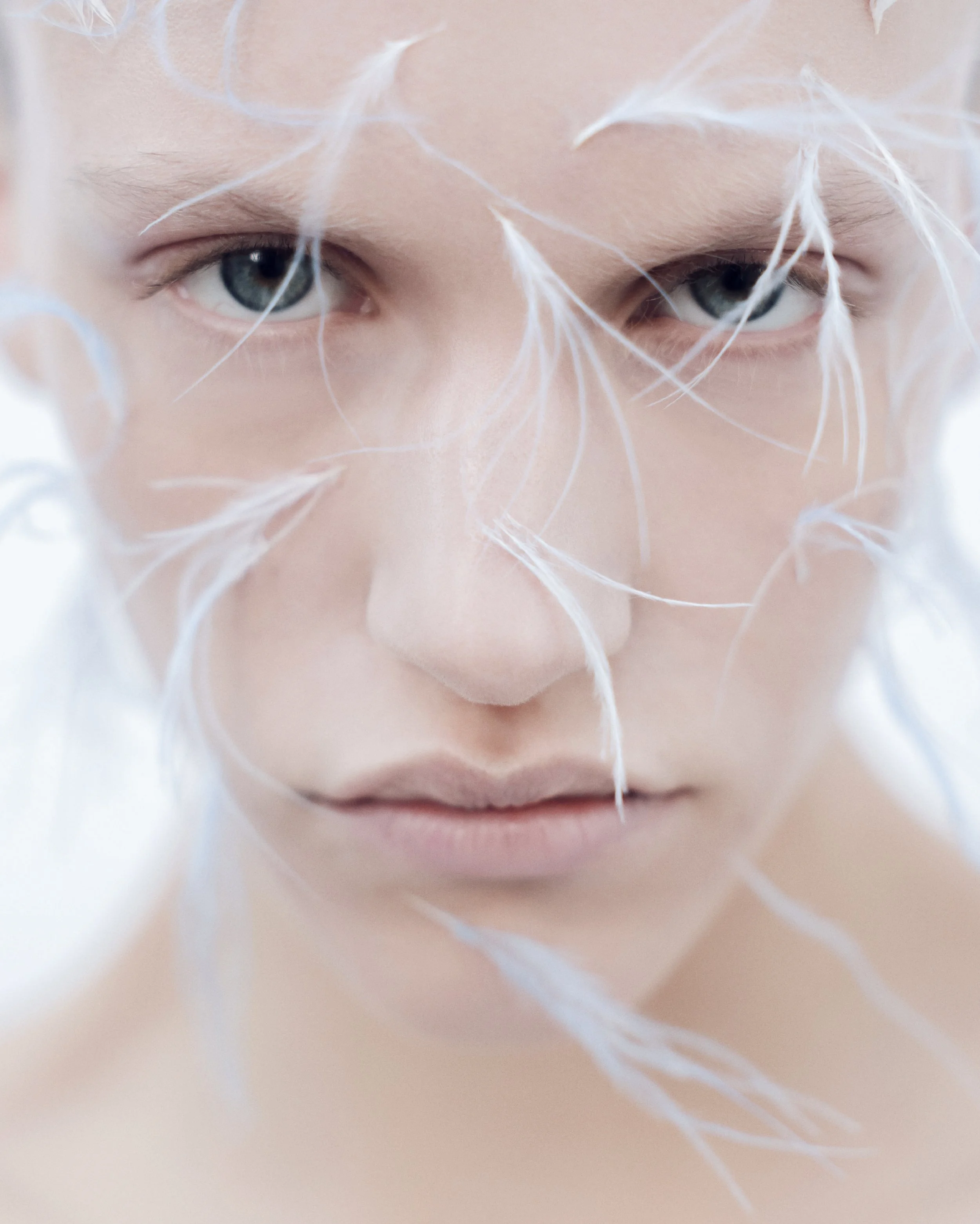 Hazefall, Mirror Mirror Magazine