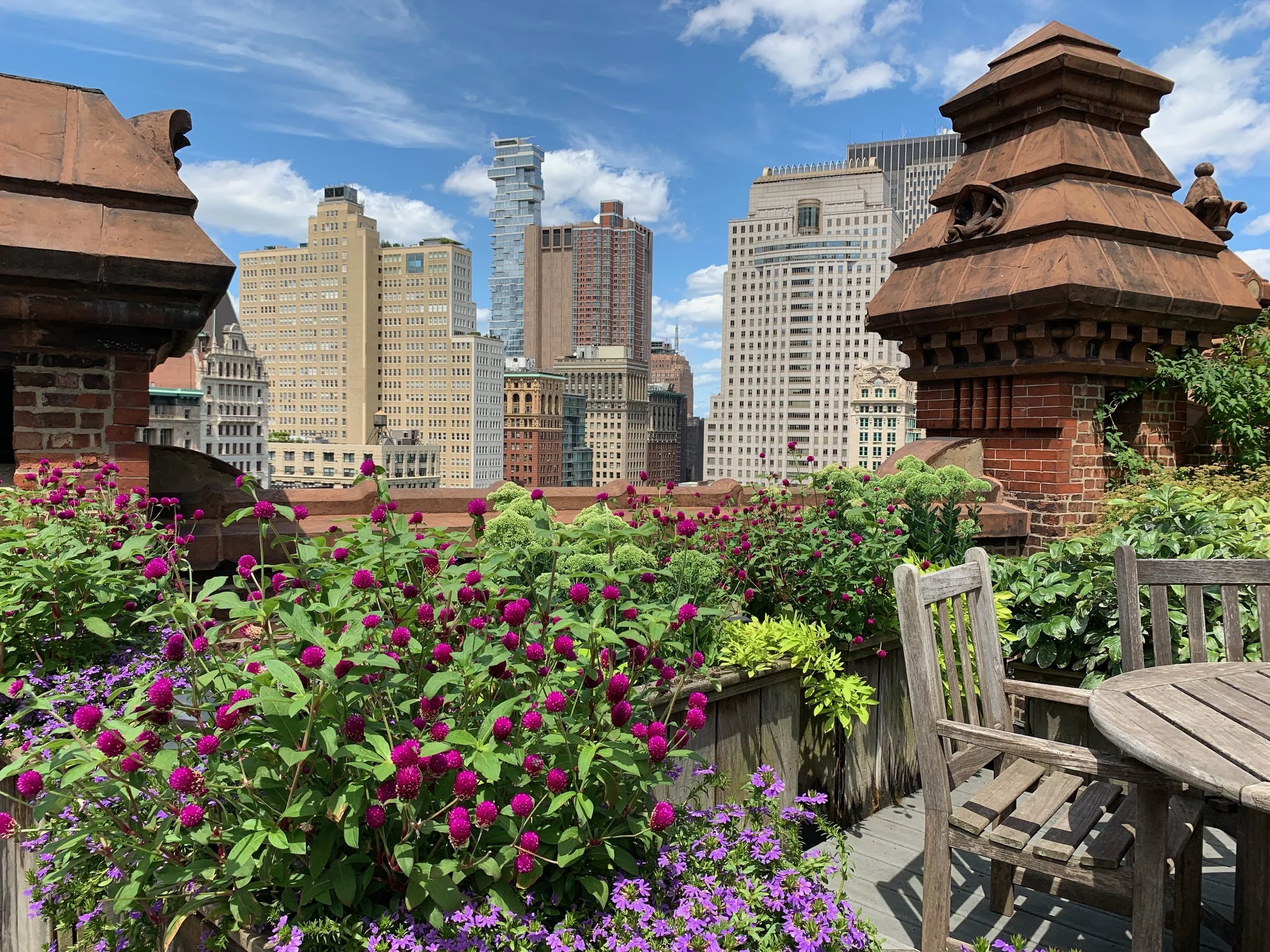 The Potter Building — Nesi Brown Design