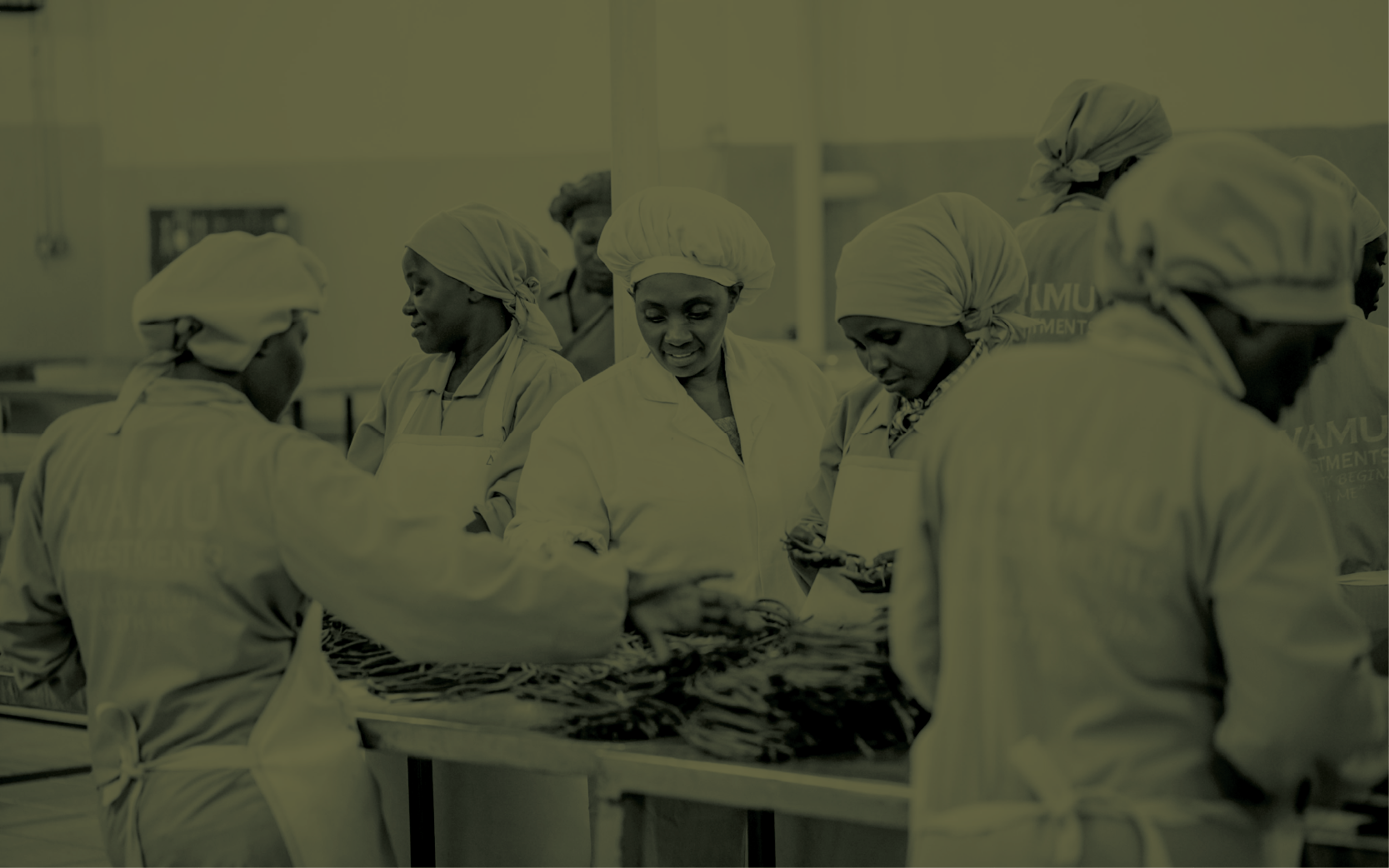 Group of women in a kitchen or food processing environment, wearing aprons and head coverings, handling fish or seafood on a table.