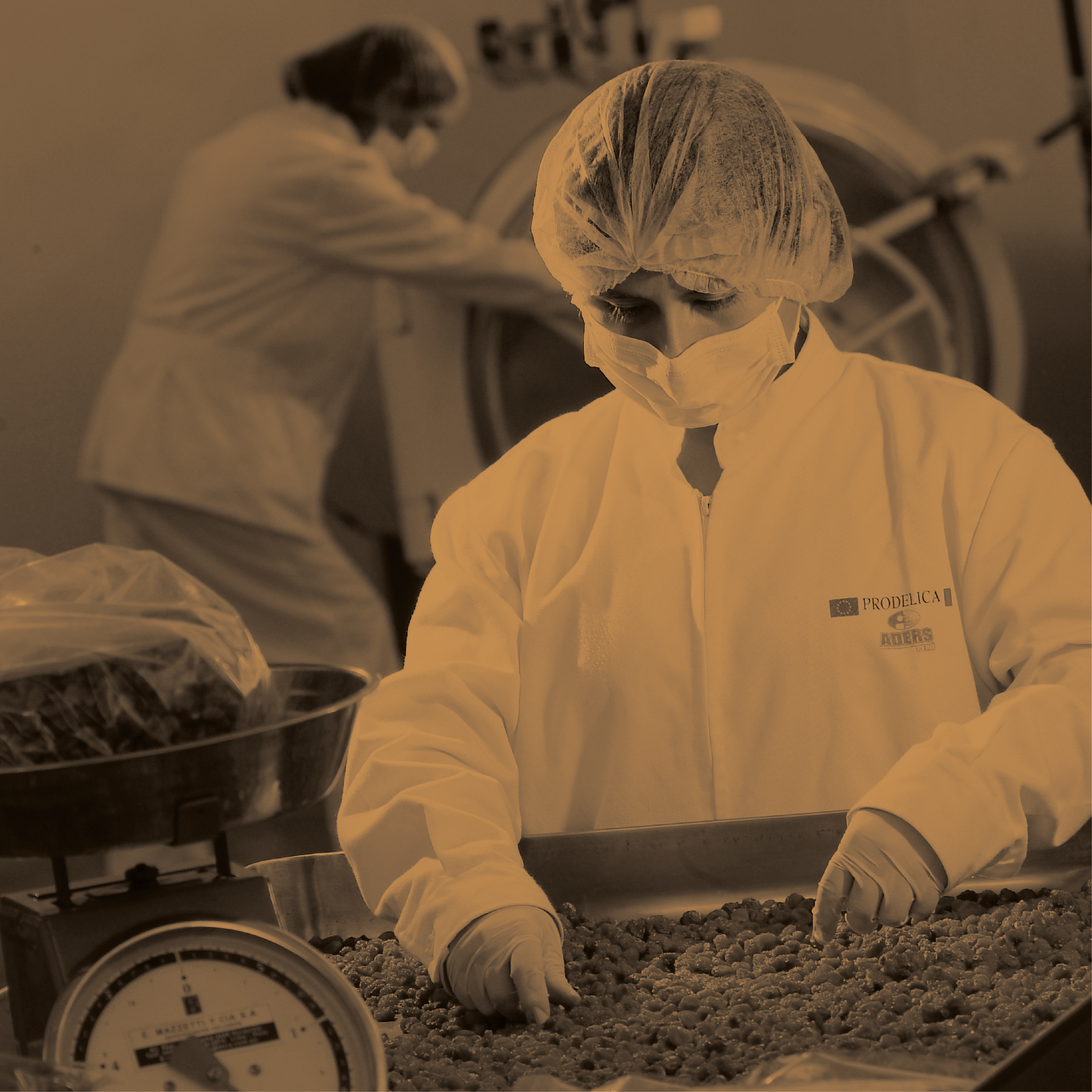 A person wearing protective clothing, a hairnet, and a face mask inspects or sorts small food items in a laboratory or food production setting, with another worker in the background working near a large industrial machine.