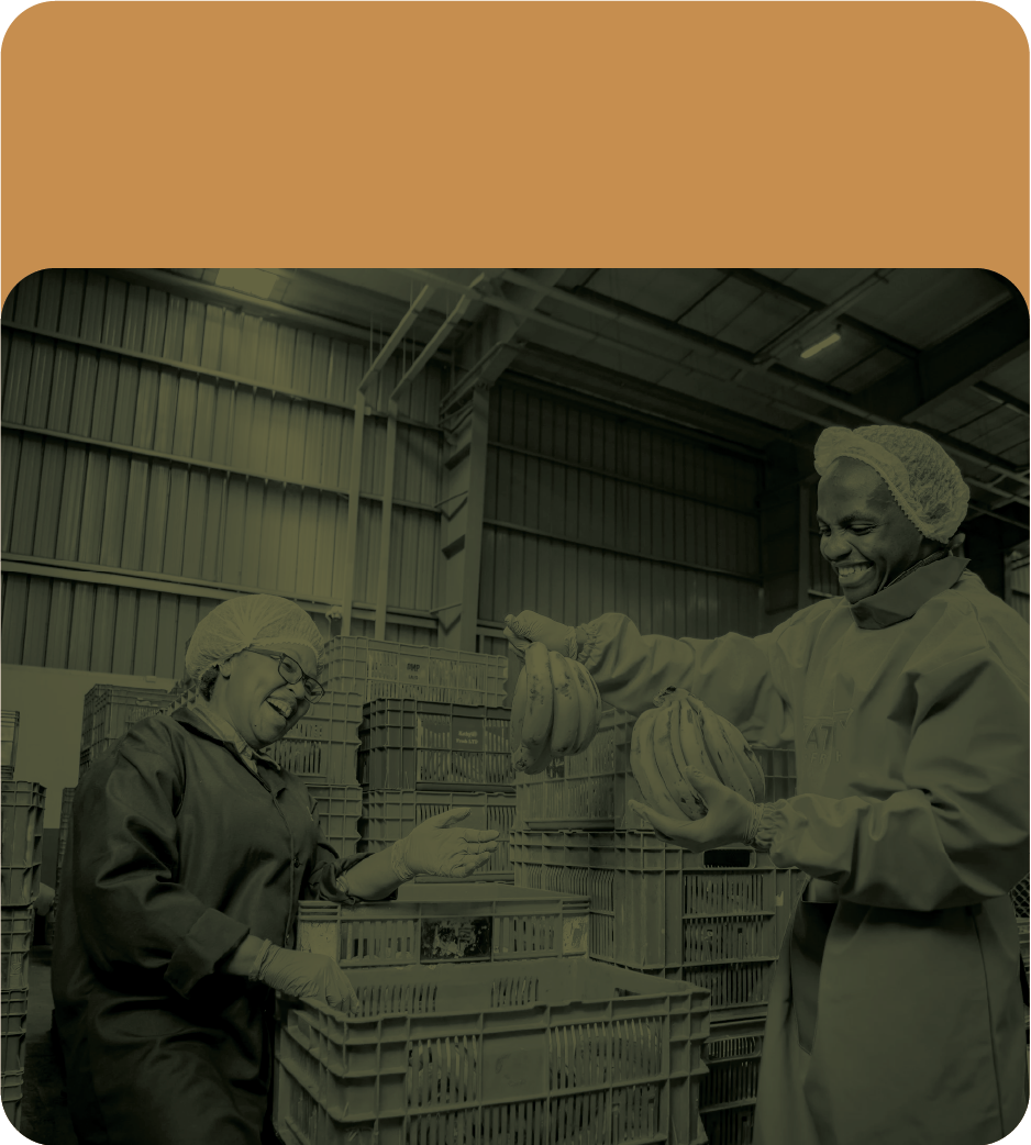 Two women in a warehouse, wearing protective hairnets and aprons, smiling and exchanging bananas among stacks of plastic crates.