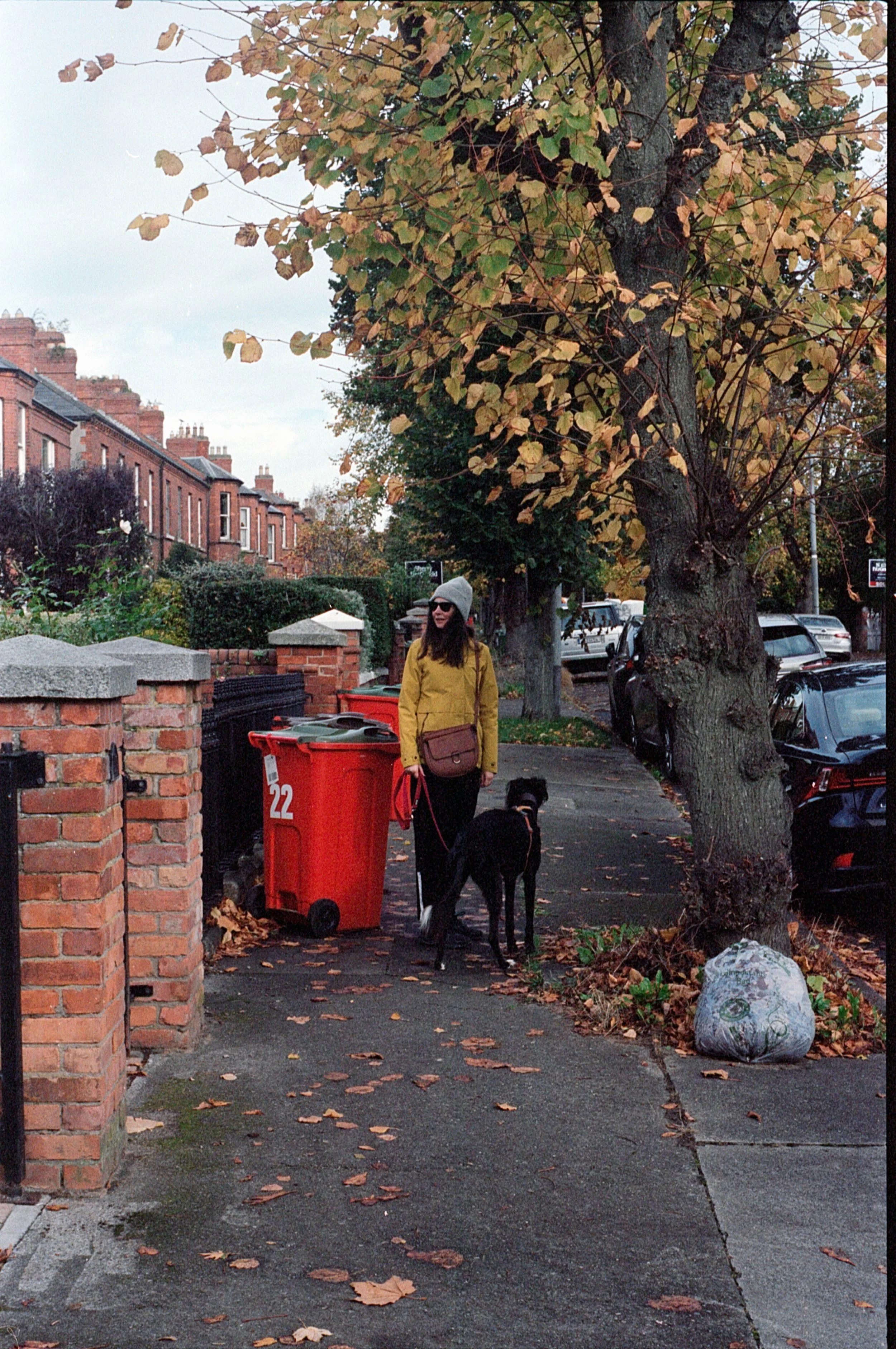 On a once-green street in Autumn