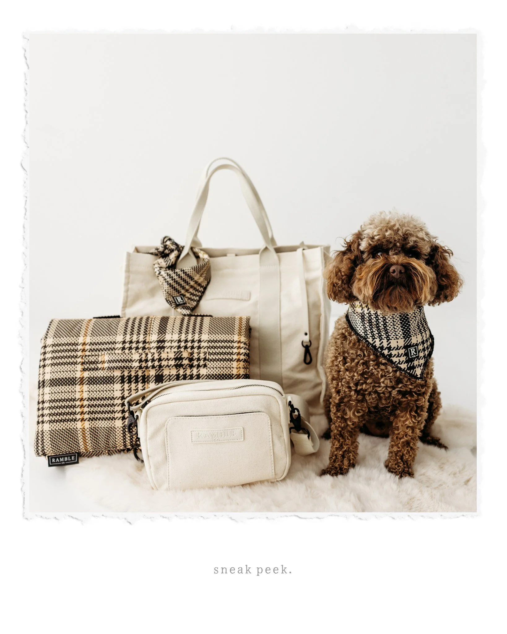 Sneak peek from the CUTEST branding shoot with Ramble Co and their very adorable model, Raffy 🤎

I mean&hellip; matching bags, a cosy blanket and a little scarf moment?! This isn&rsquo;t just dog gear - it&rsquo;s a whole vibe.

If you love your dog