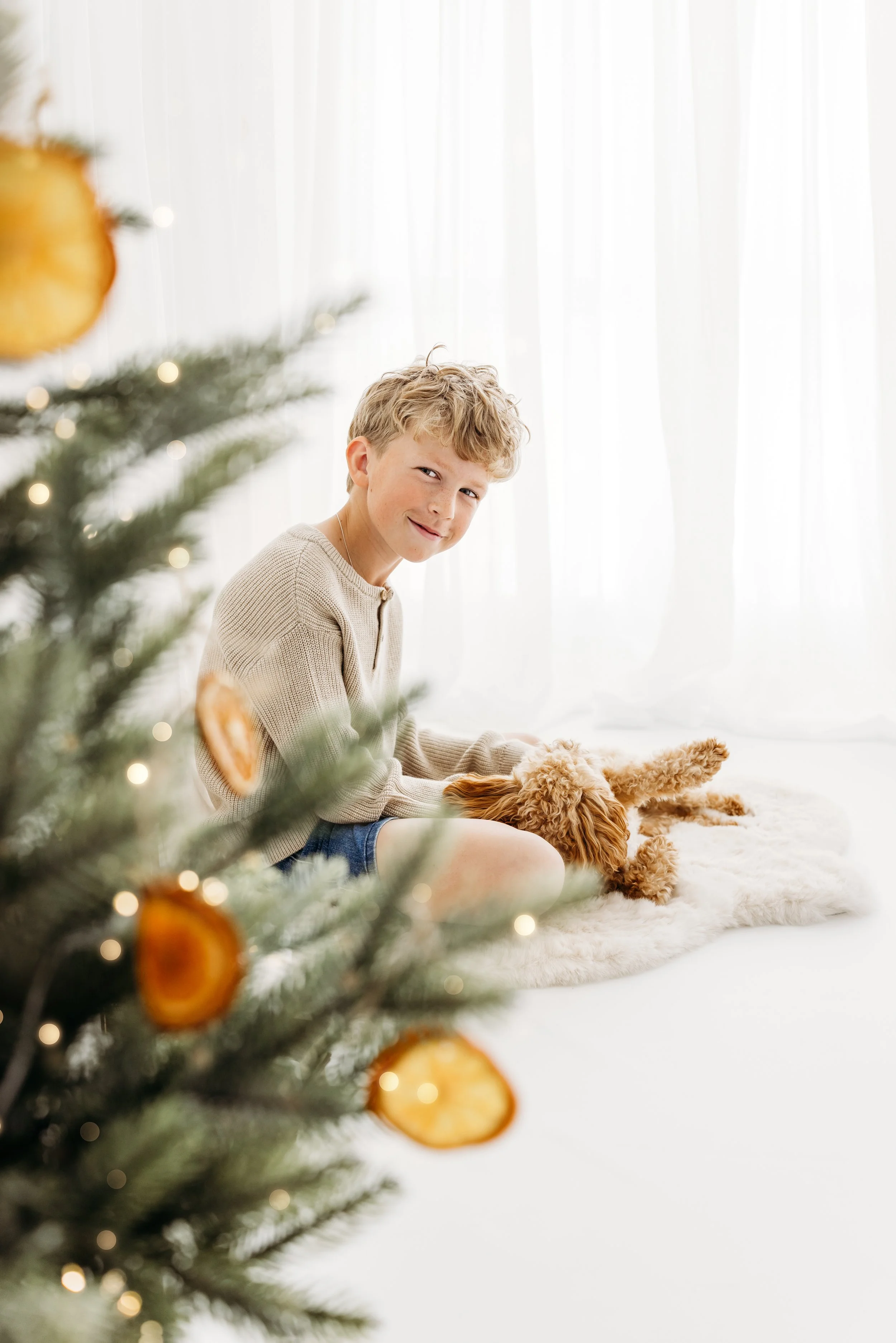 Boy and his dog photographed through the branches of the Christmas tree
