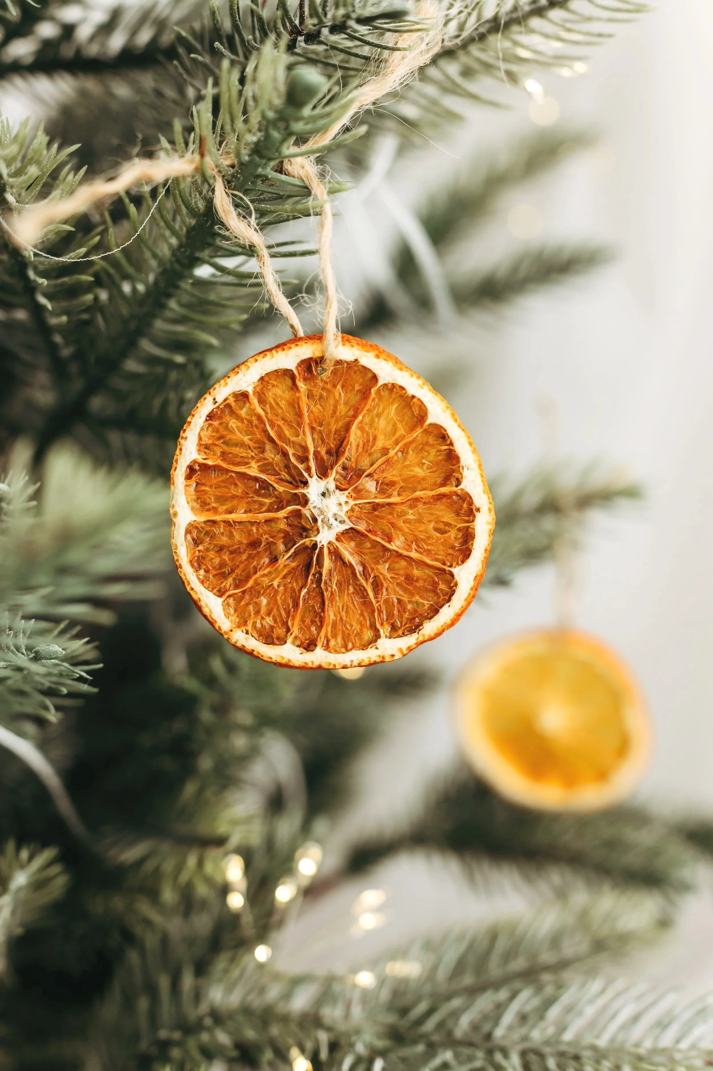 Dried orange decoration hanging from the softly styled Christmas tree