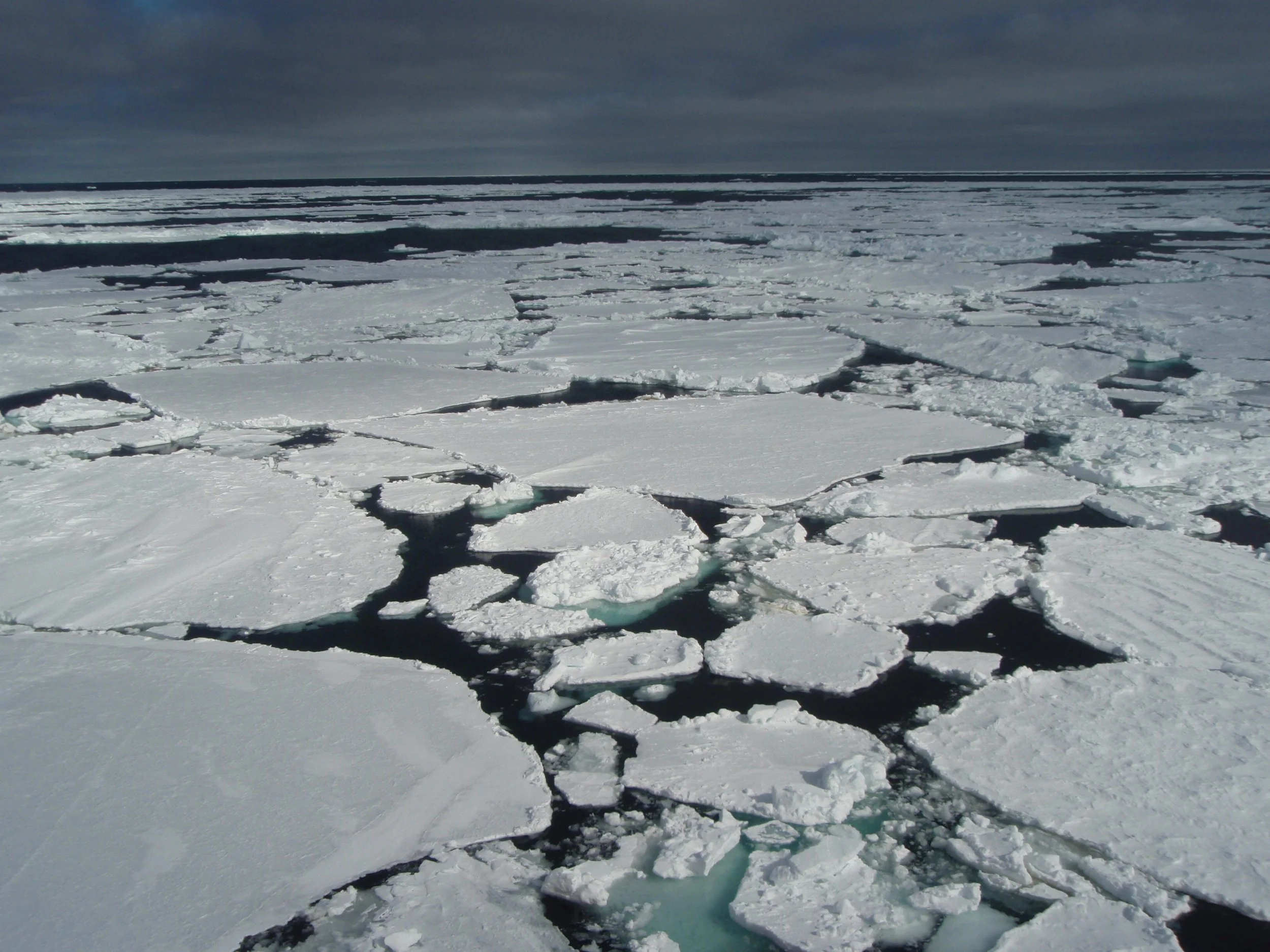 In Deep Water off Antarctica