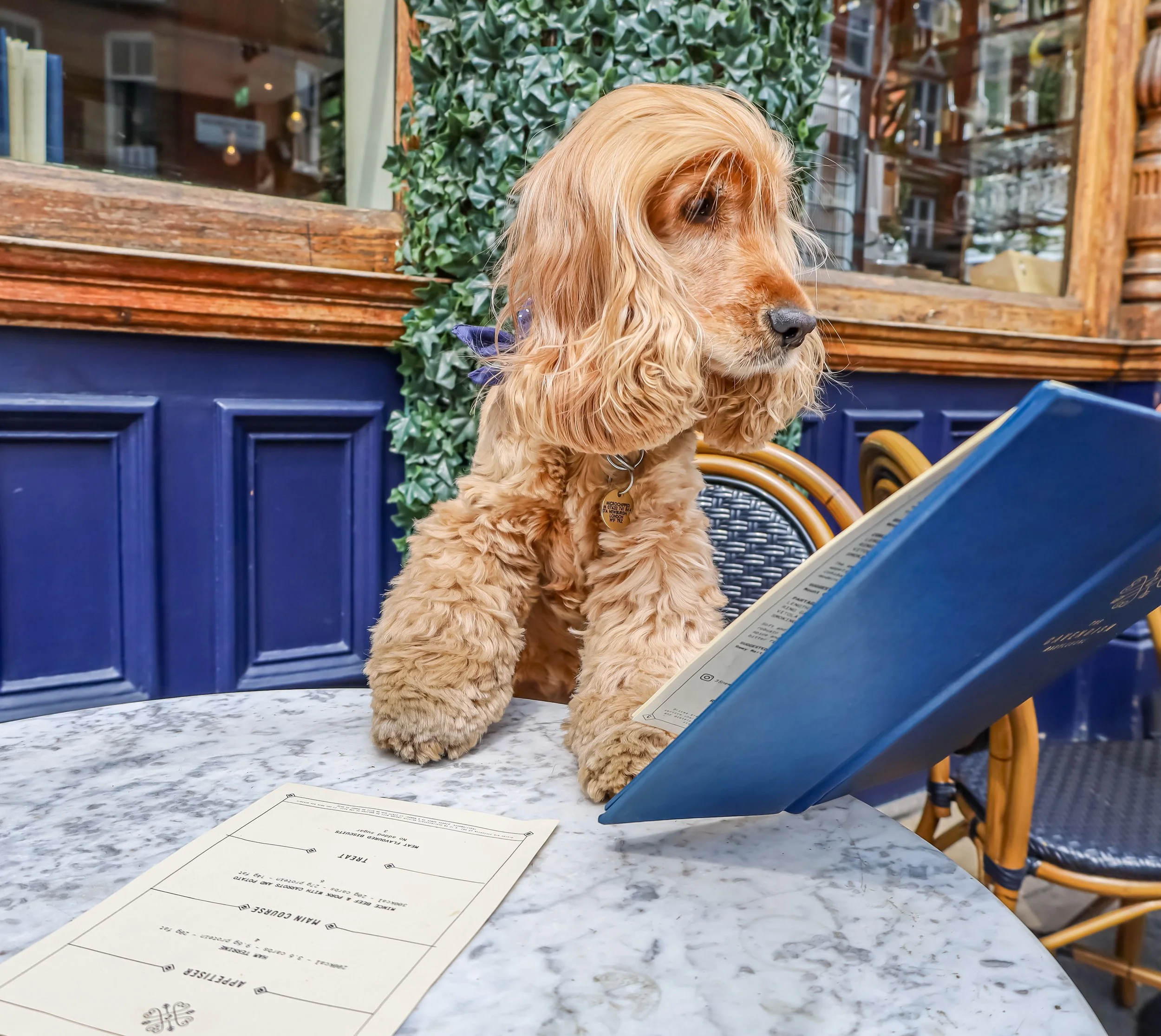 The Cavendish Pub Dogfriendly Marylebone