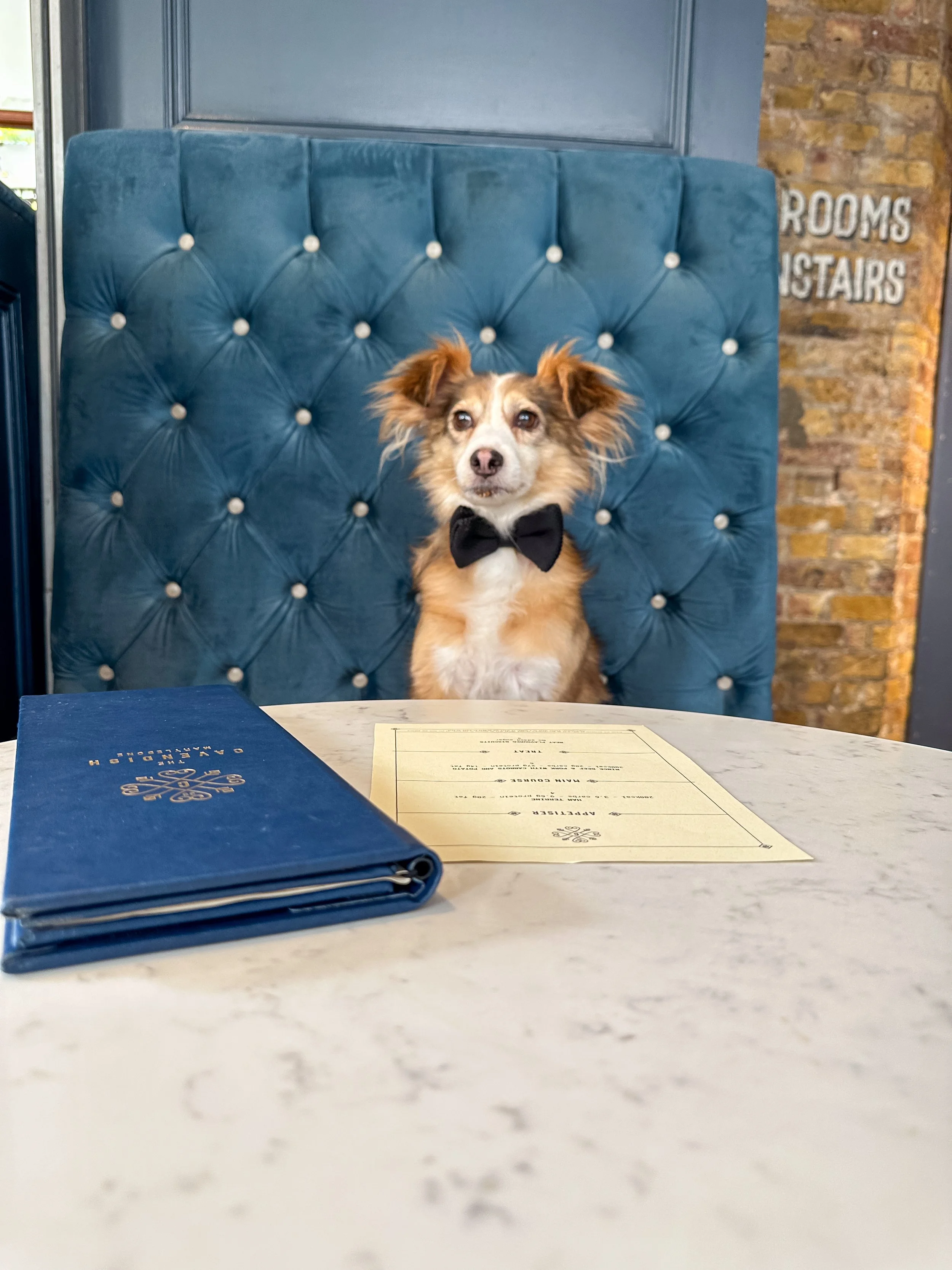 The Cavendish Pub Dogfriendly Marylebone