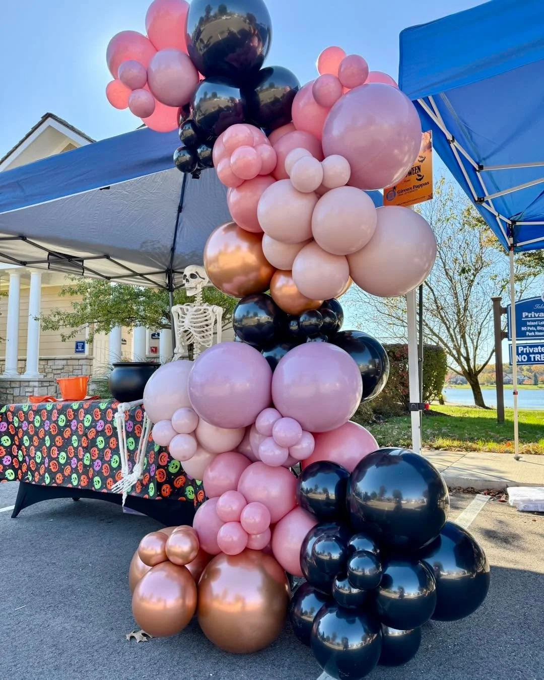 ✨💀🖤 Witch way to the party? 🖤💀✨
.
.
.
.
.
#happyhalloween #thisishalloween #balloondecoration #balloongarland #michiganballoons #detroitballoonartist #balloonarch #sempertex #balloondecor #balloonartist #tuftexballoons #balloons #balloonbackdrop 