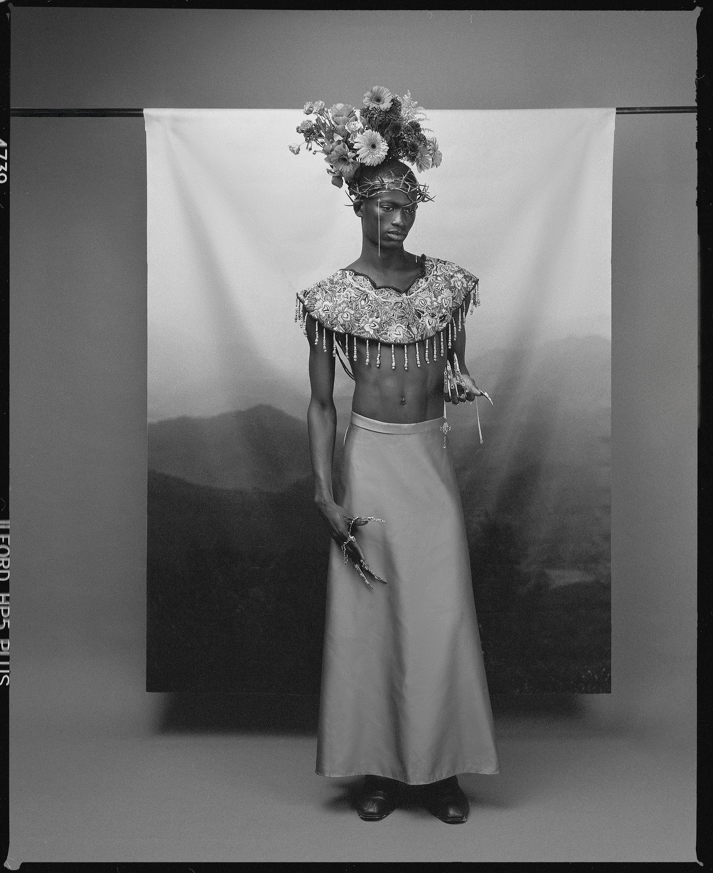 HP5_24 web.jpg