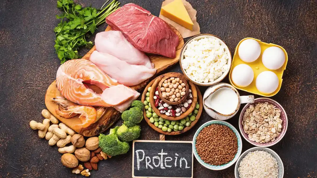 Assortment of high-protein foods including salmon, chicken, eggs, dairy, beans, nuts, and legumes arranged around a protein nutrition display.