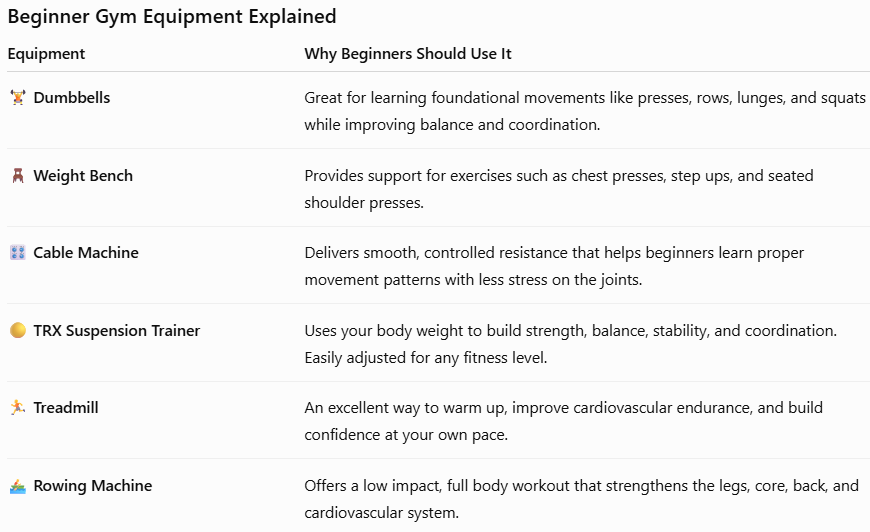 Beginner Gym Equipment Explained