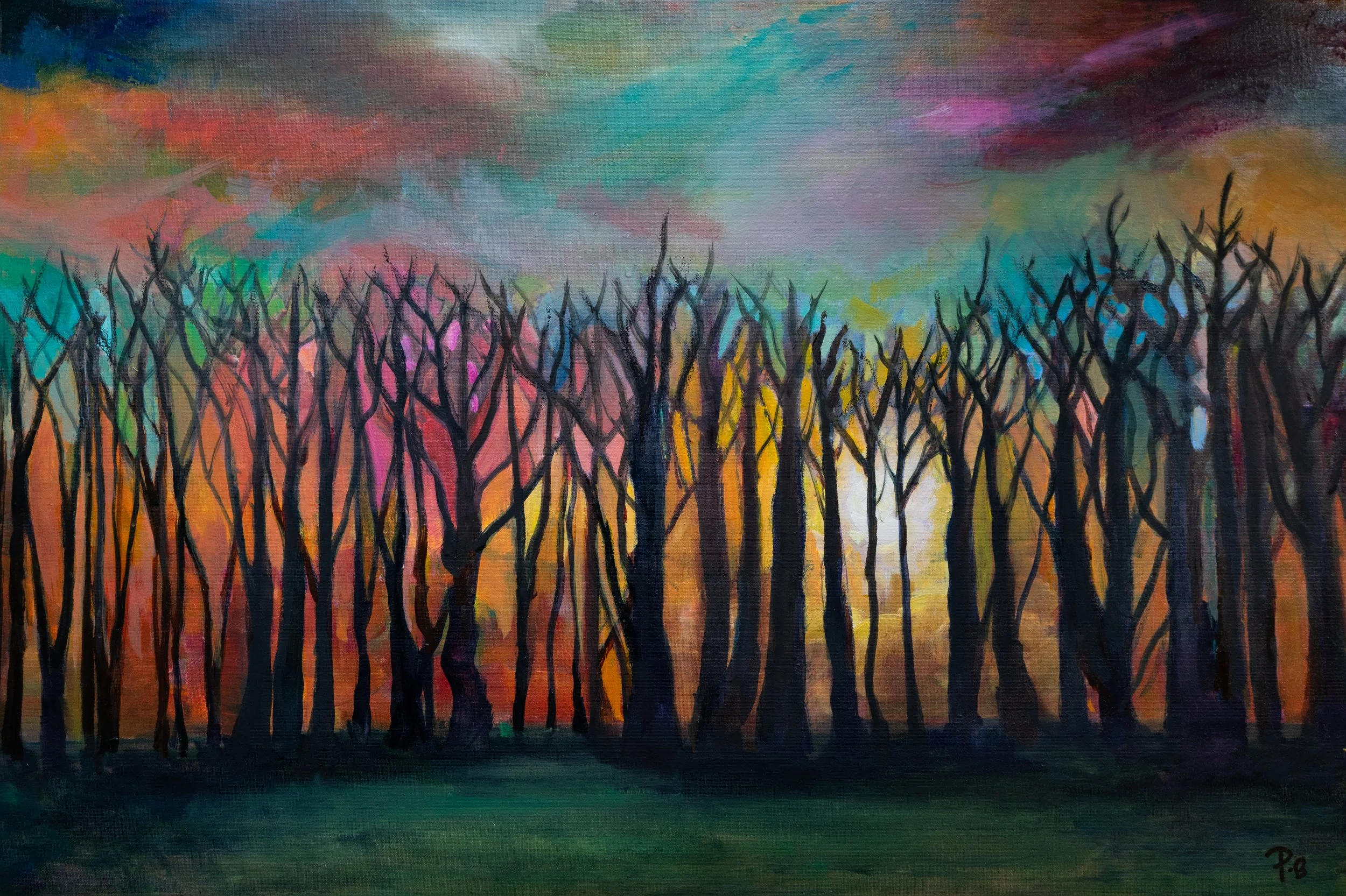 Sunset tree row.jpg