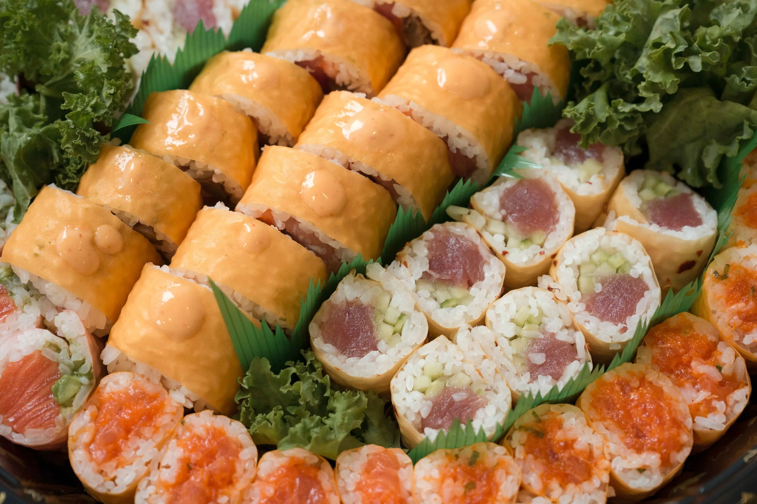 Multicultural Leadership Initiative Conference-90.jpg