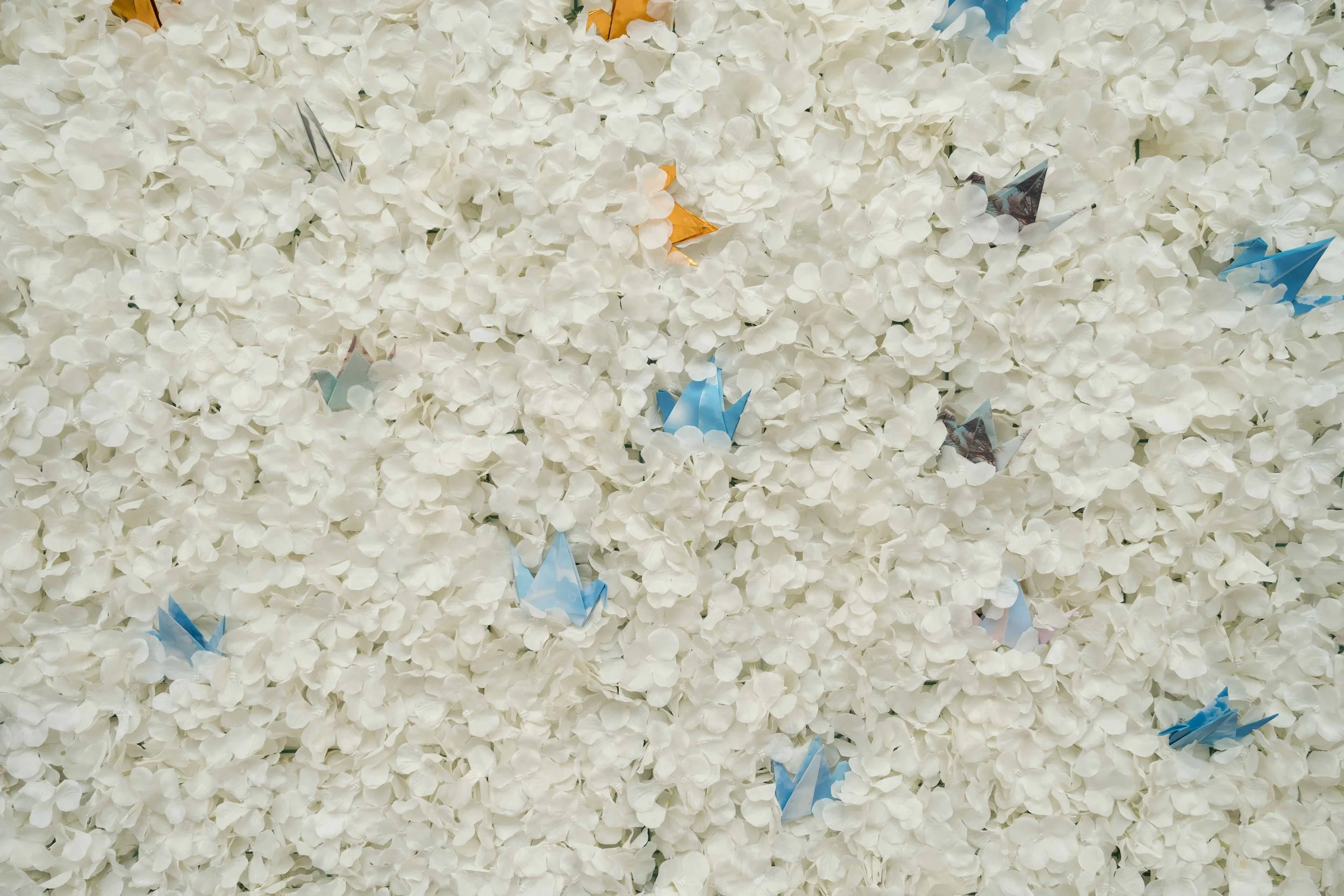 Multicultural Leadership Initiative Conference-11.jpg