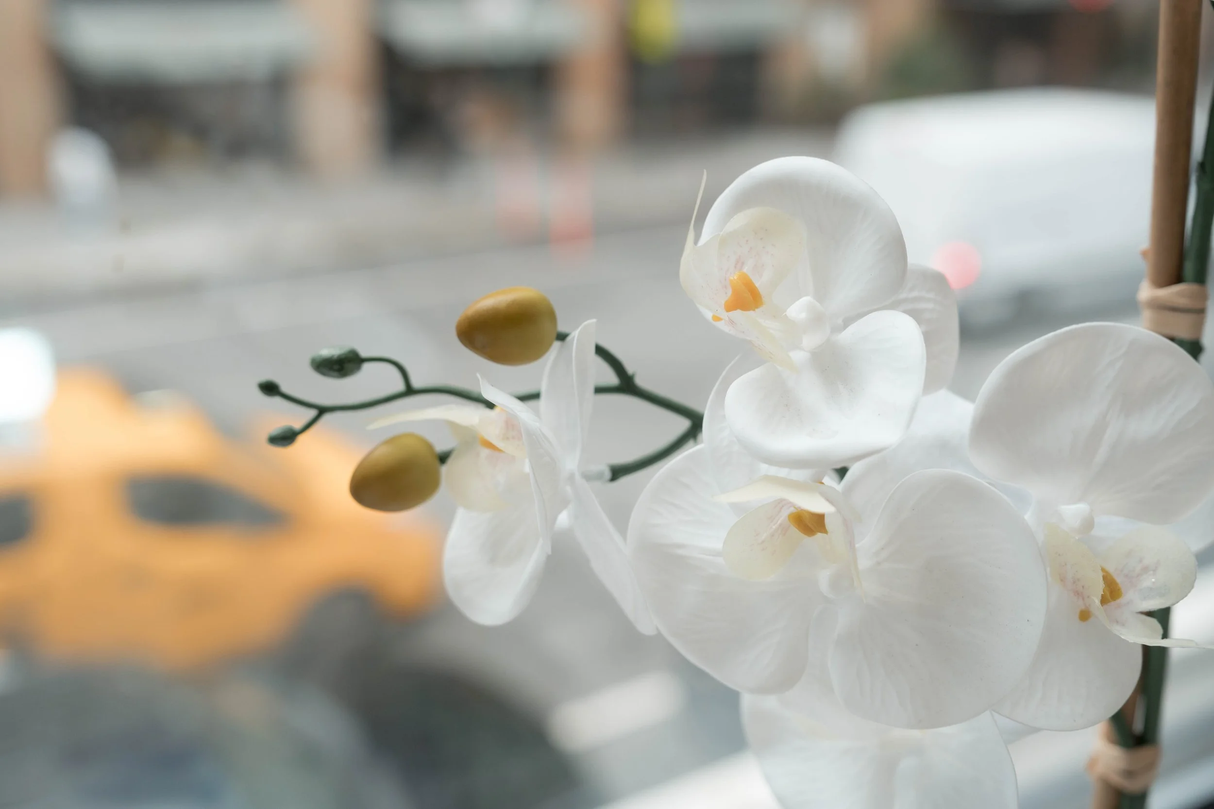 Multicultural Leadership Initiative Conference-34.jpg