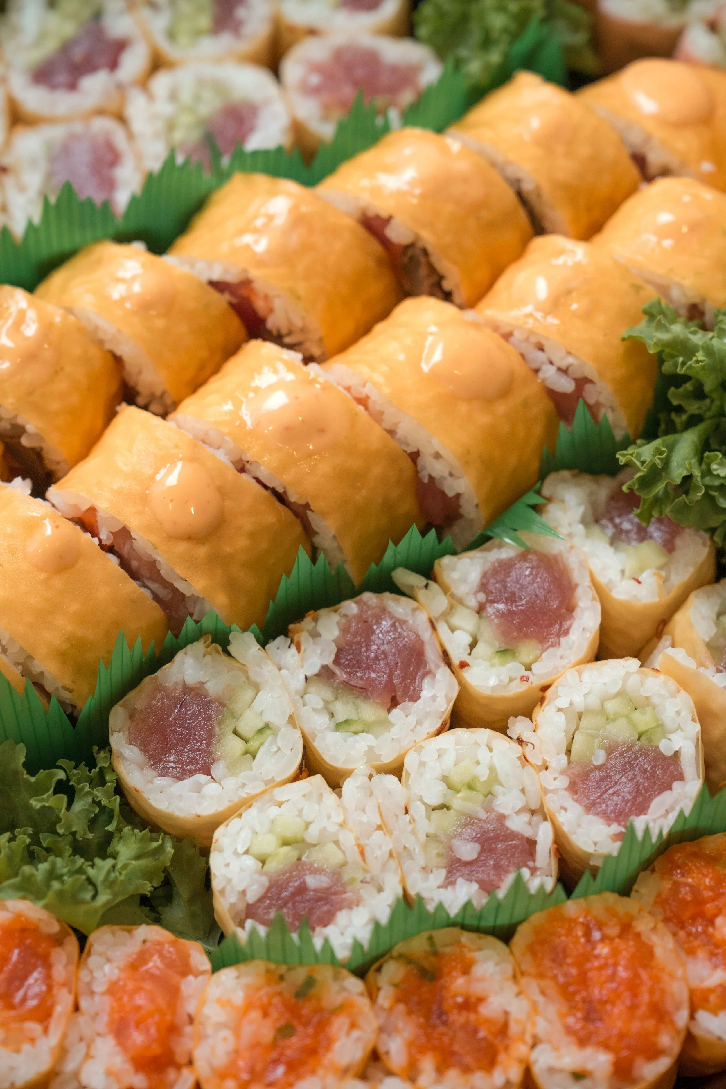 Multicultural Leadership Initiative Conference-85.jpg