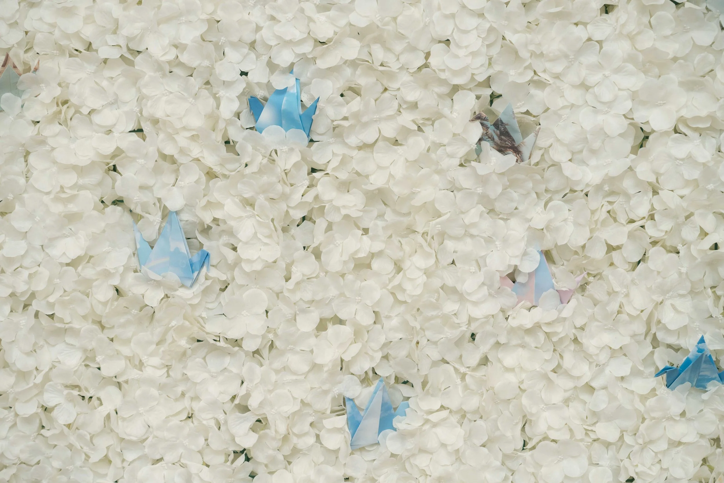 Multicultural Leadership Initiative Conference-12.jpg