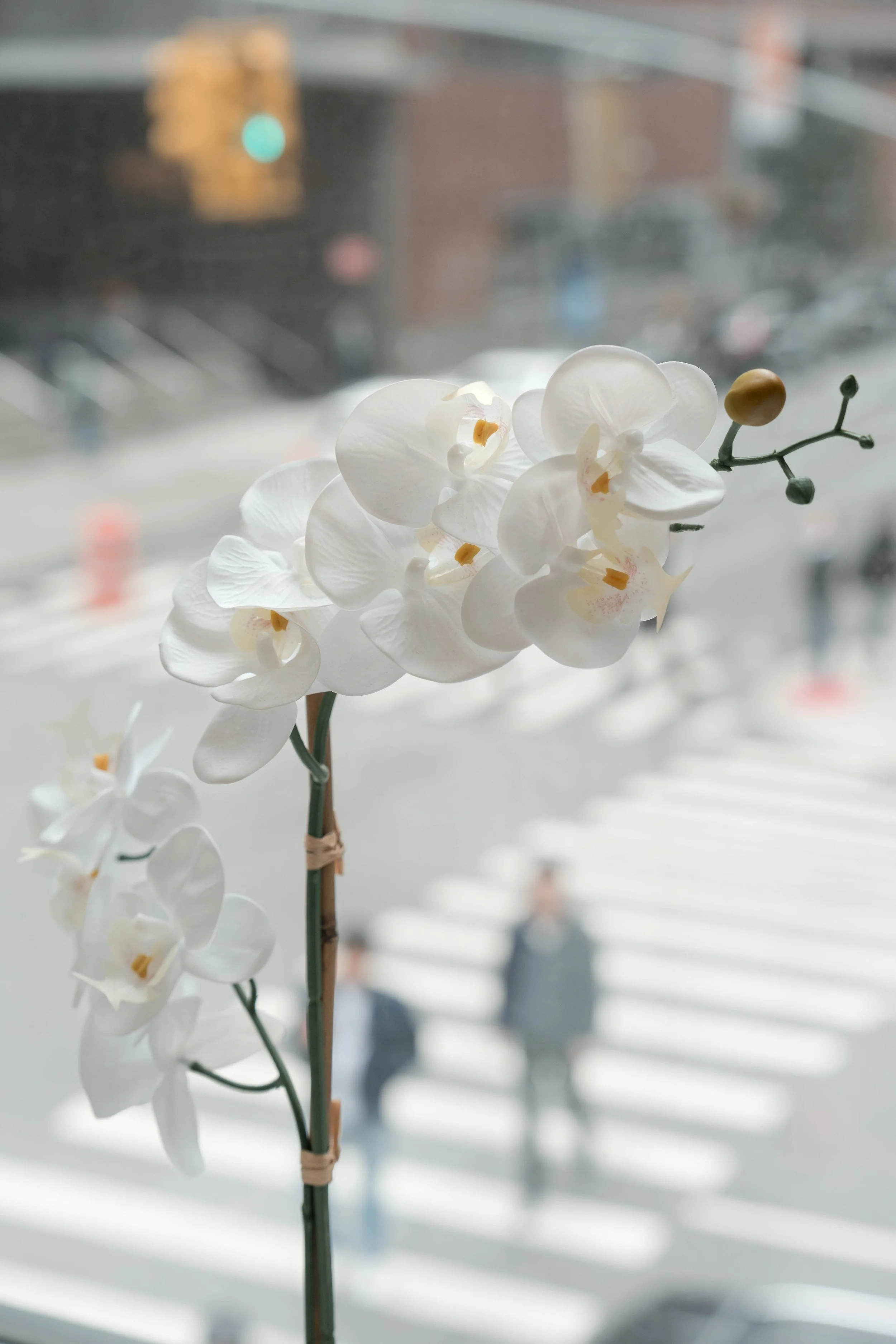 Multicultural Leadership Initiative Conference-32.jpg