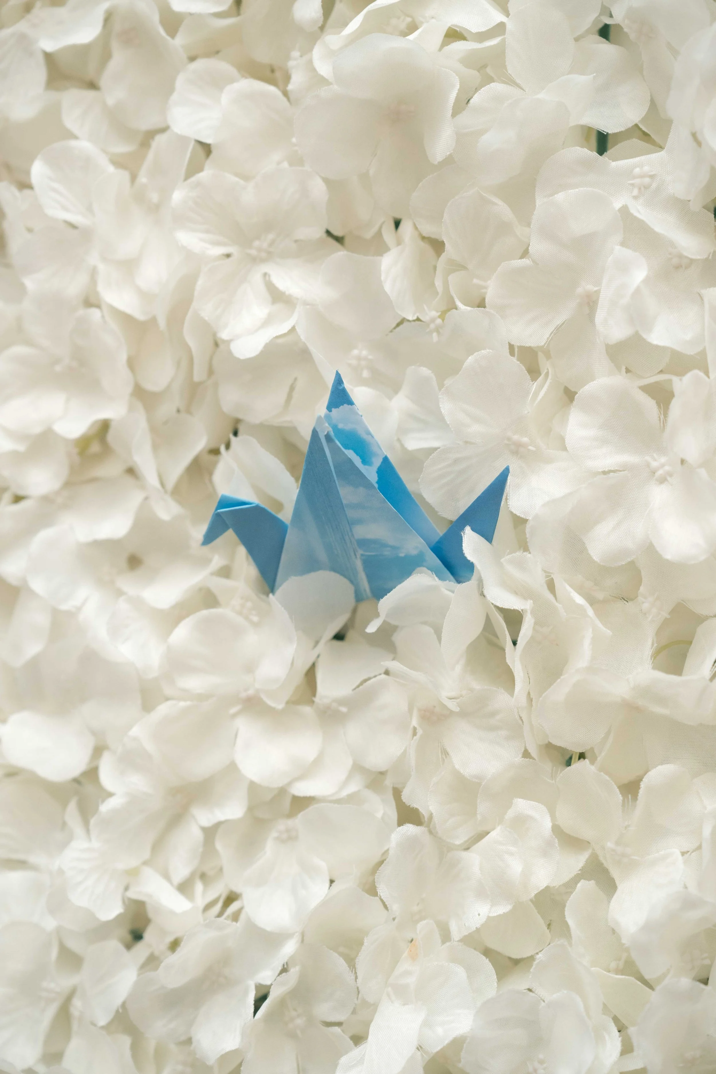 Multicultural Leadership Initiative Conference-13.jpg