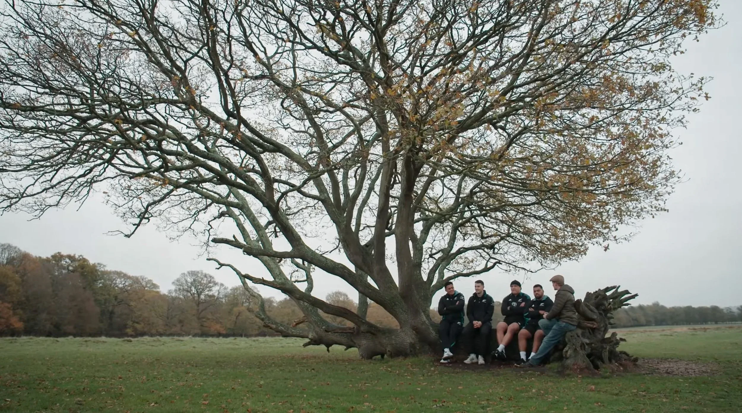 Bupa Allblacks 4.jpg