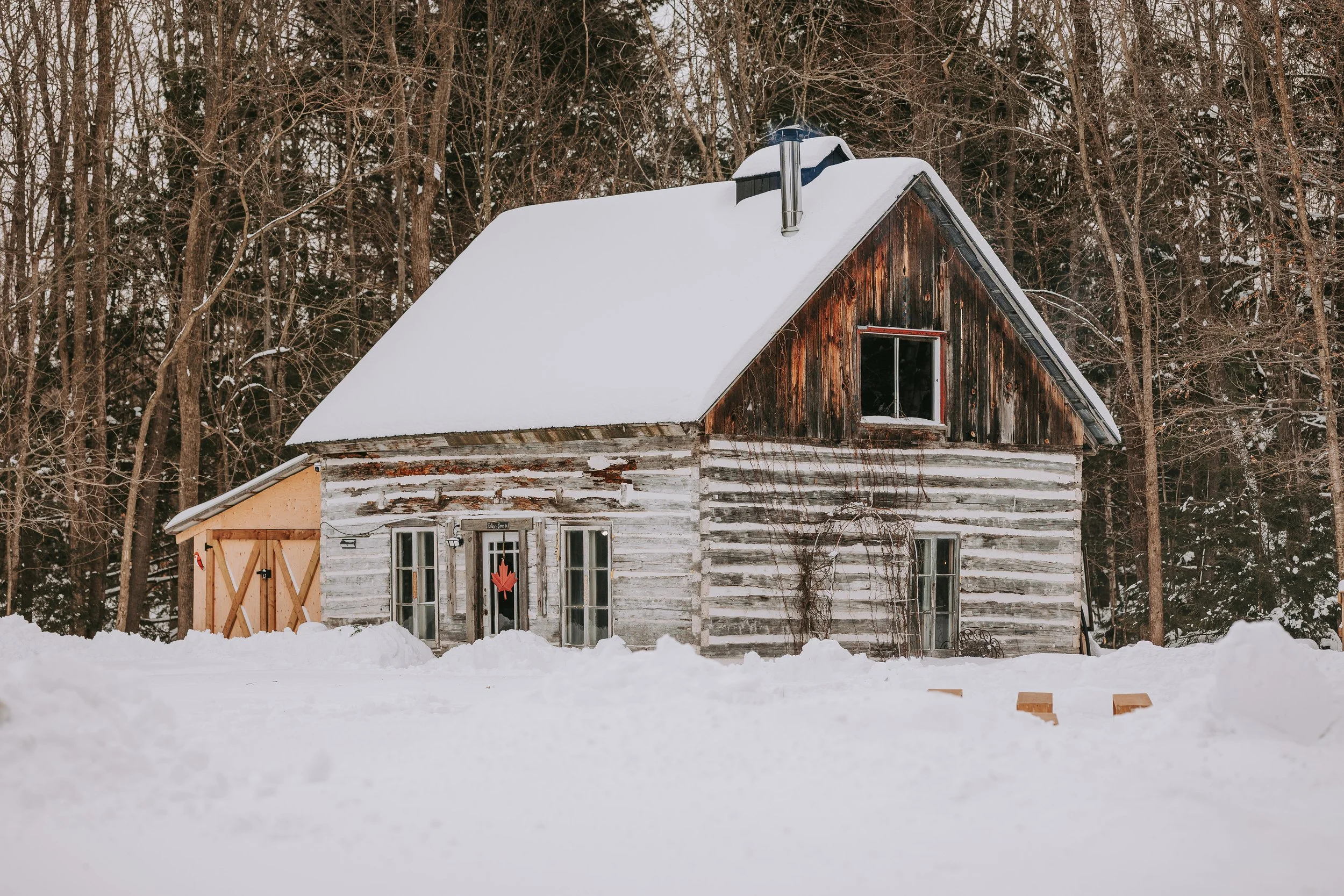 A rustic wooden house with snow on its roof, set against a backdrop of a forest of leafless trees in winter.