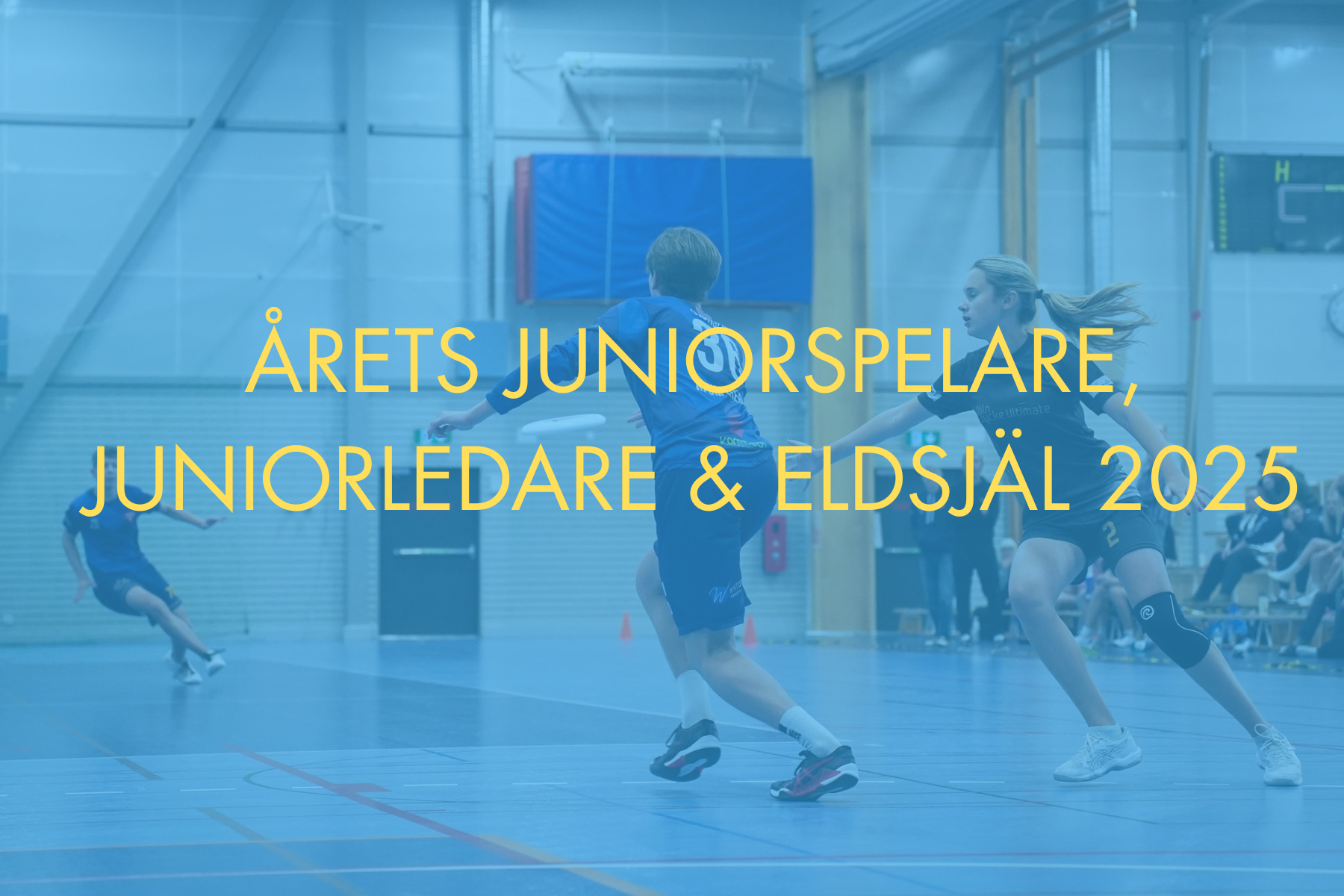 Nominerade till Årets juniorspelare, juniorledare &amp; eldsjäl 2025