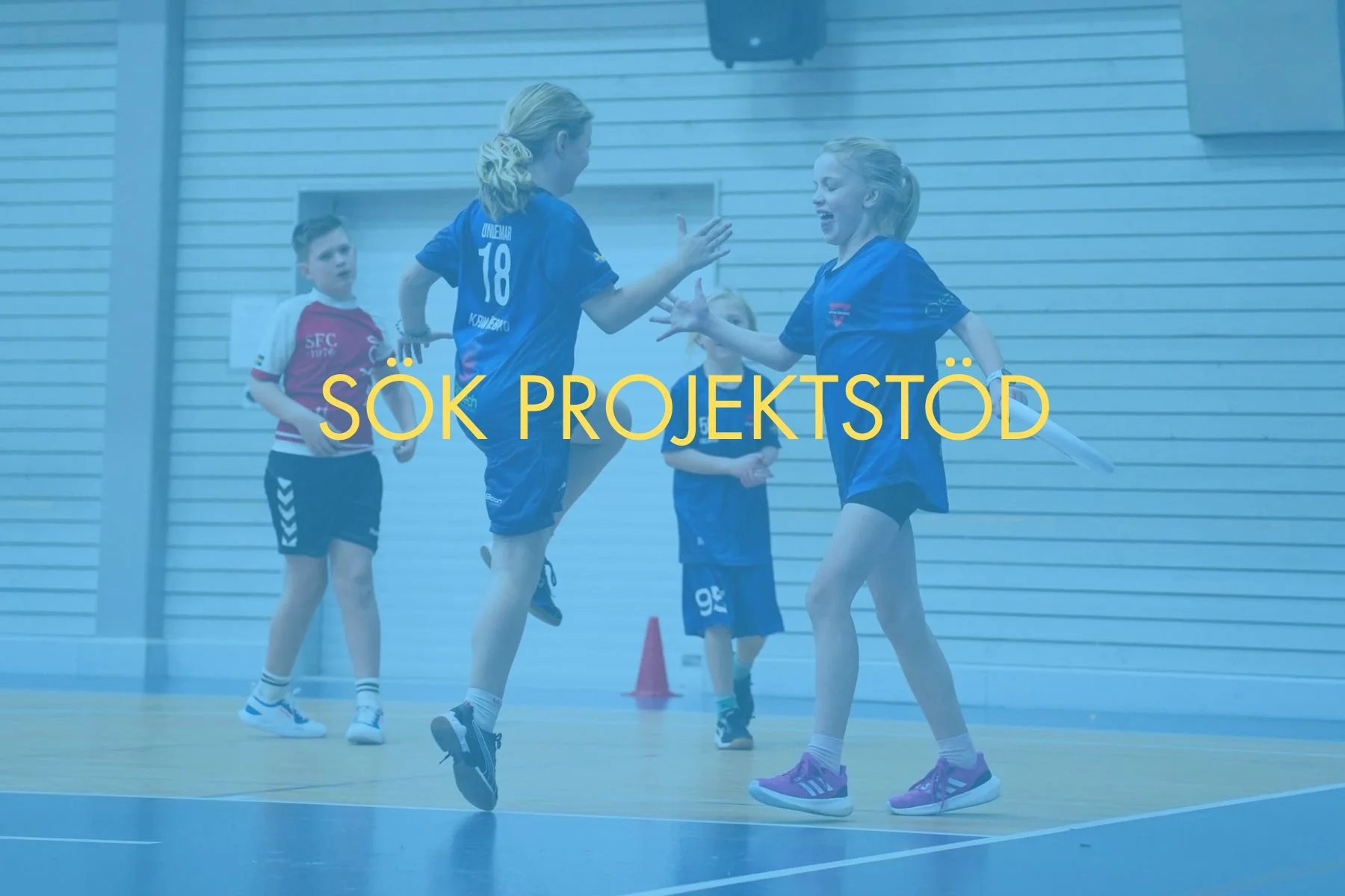 SÖK PROJEKSTÖD