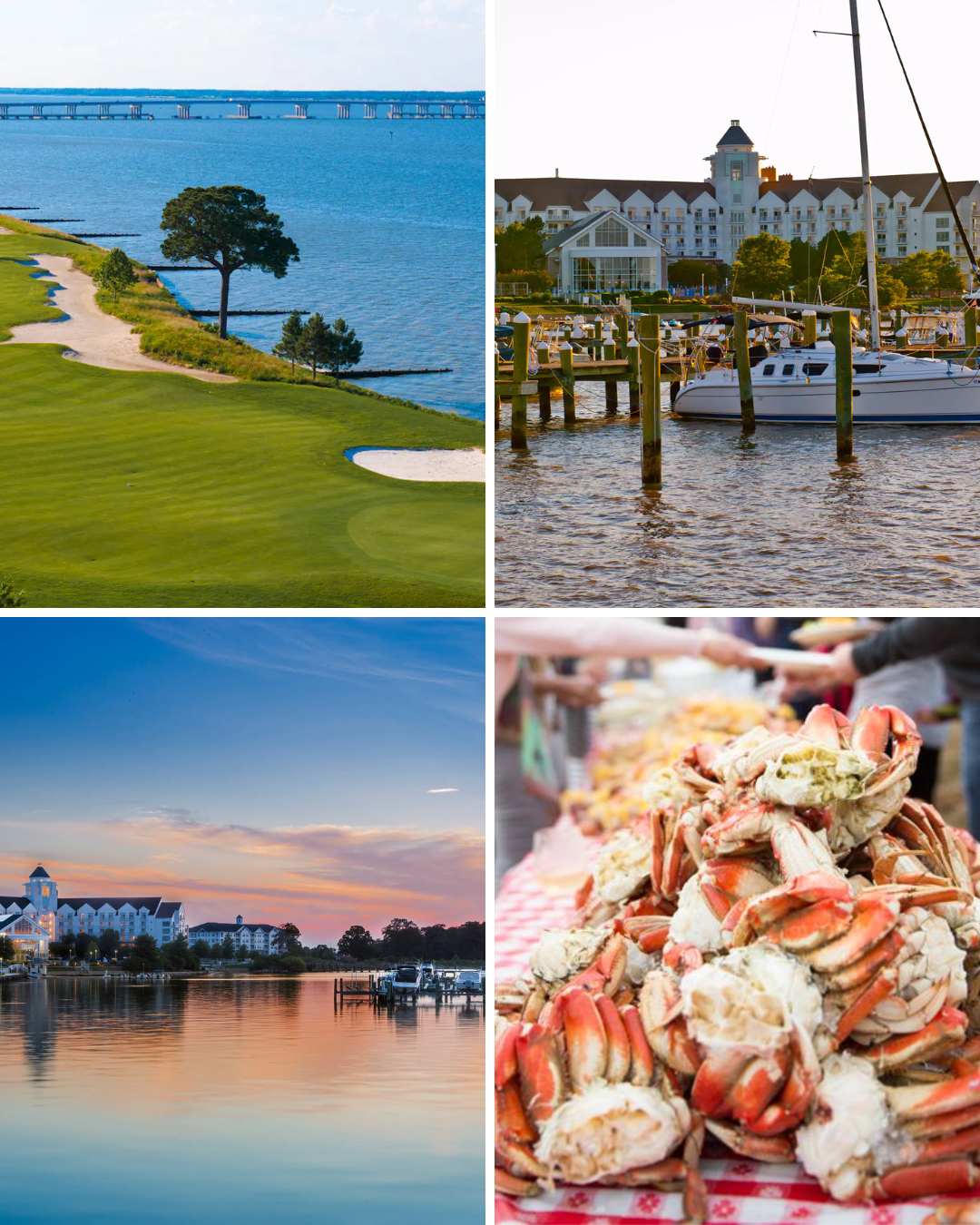 SSG Graphics (Instagram Post (45)) (5).png