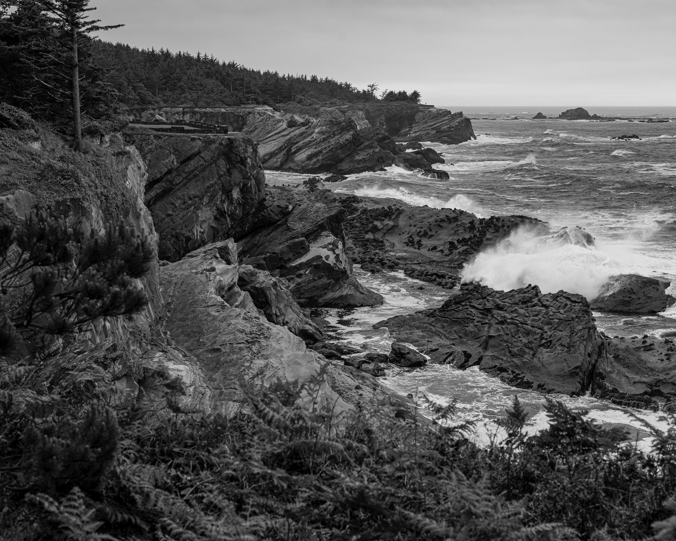 Shore Acres