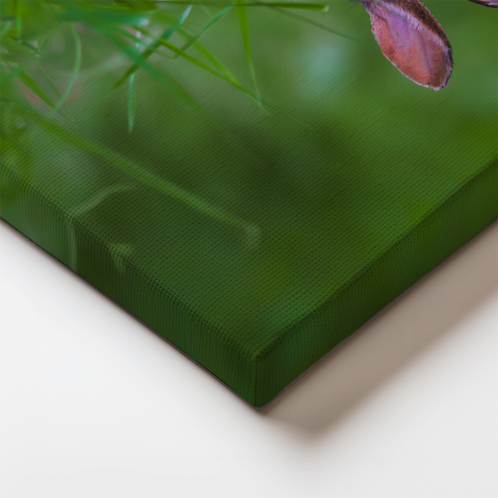 Canvas edge detail showing the rabbit’s fur and surrounding grasses wrapping around the frame for a finished look.