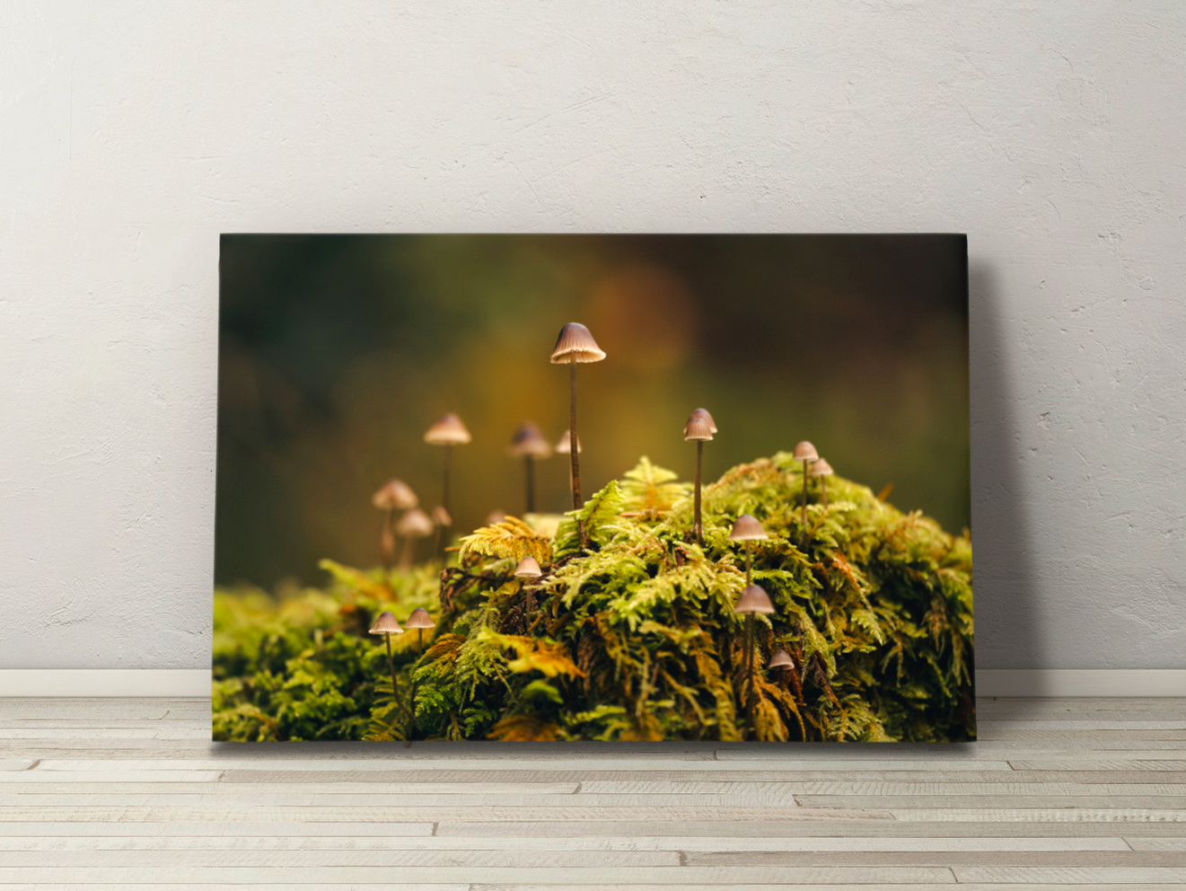 Canvas wall art of “Mushroom Forest,” a detailed macro scene of mushrooms nestled in moss. Natural woodland photography with a touch of fantasy.