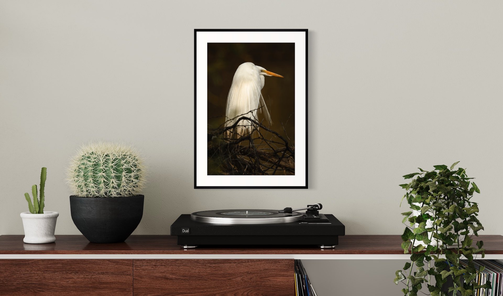 Egret+in+Shadows+Framed+in+Room.jpg