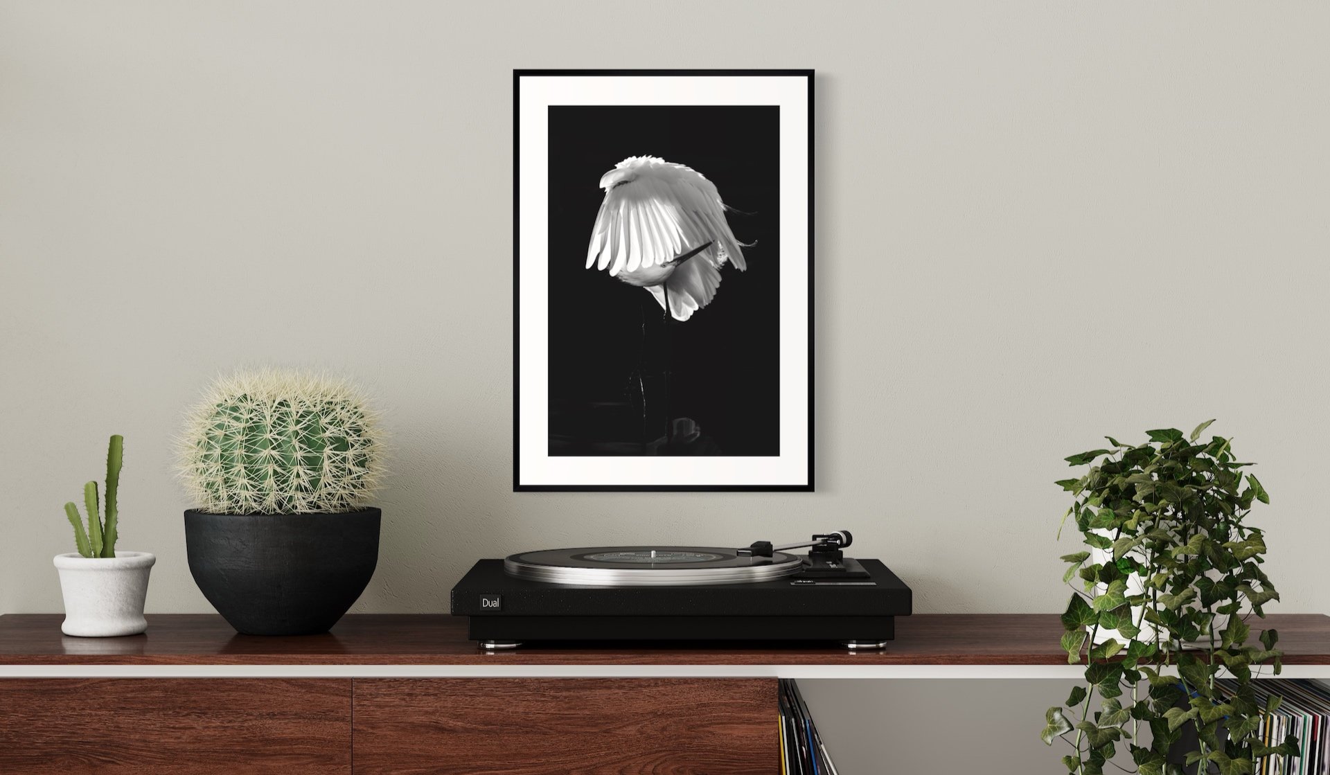 Egret+Preening+Framed+in+Room.jpg