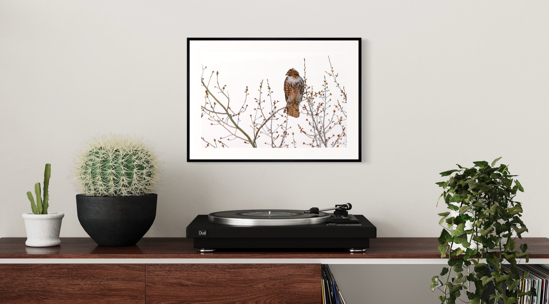 Red-tailed+Hawk+at+Dawn+Framed+in+Room.jpg