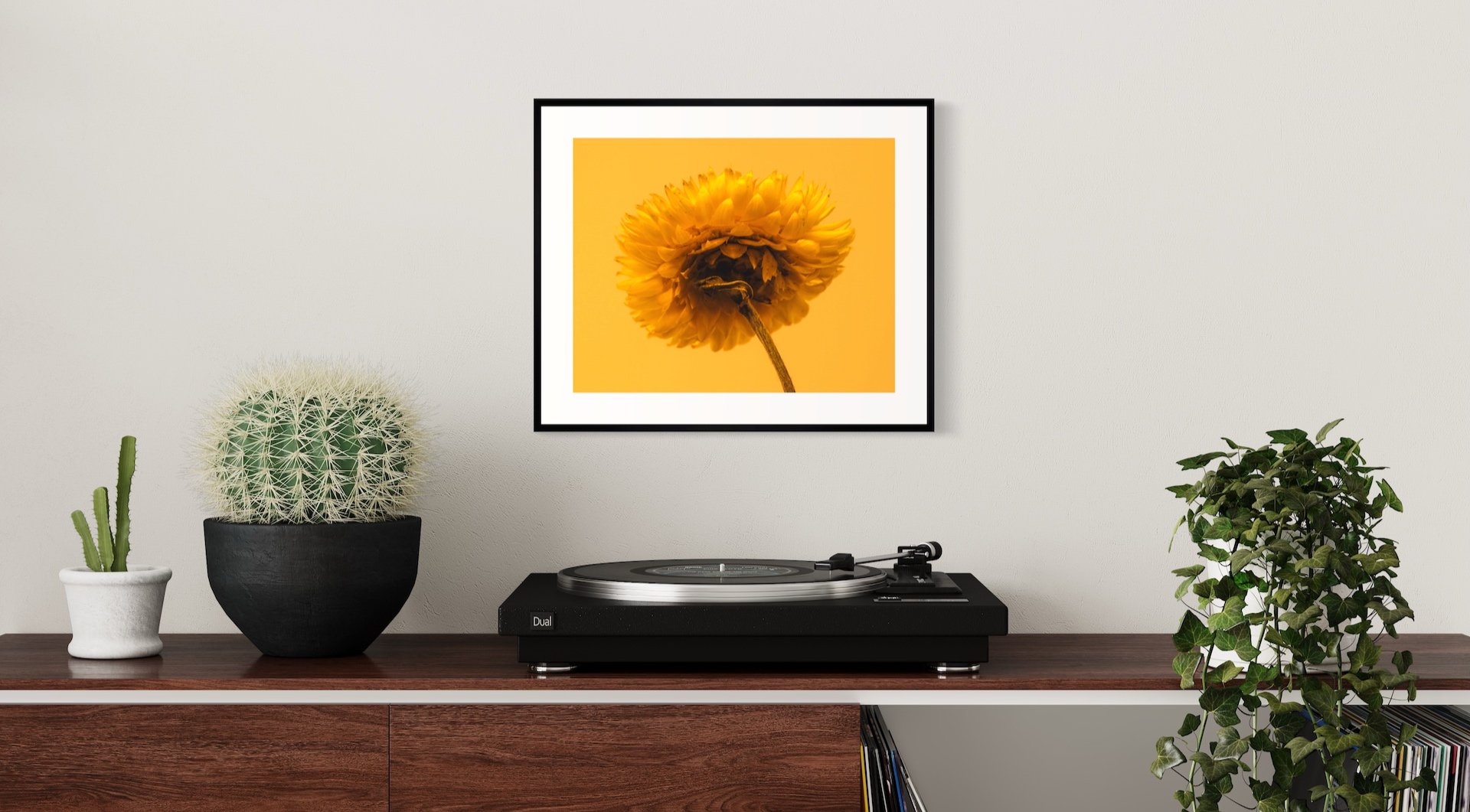 Golden+Strawflower+Framed+in+Room.jpg