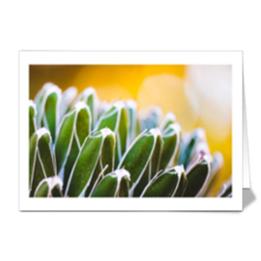 Greeting Card 6-Pack in Box