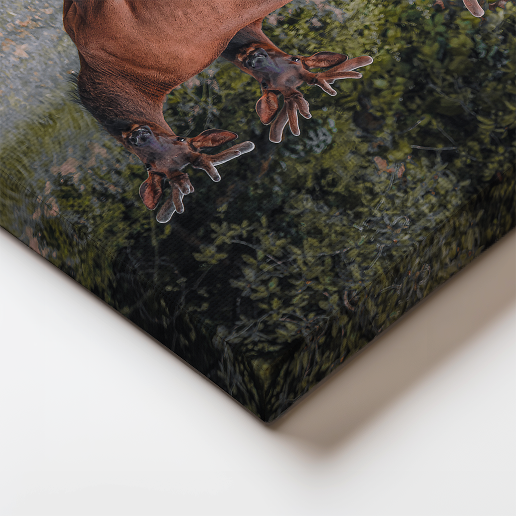 Canvas edge detail showing wrapped meadow grass and forest tones from the elk scene.